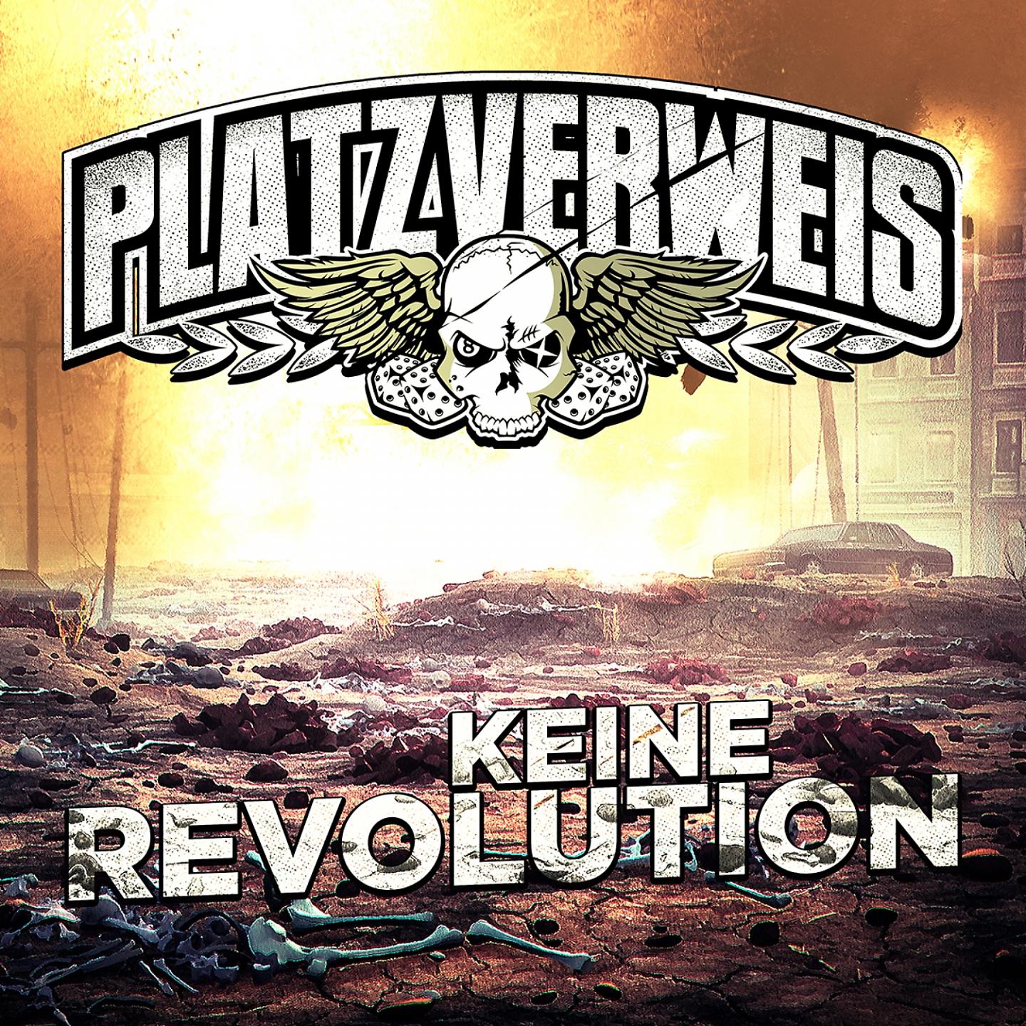 Постер альбома Keine Revolution
