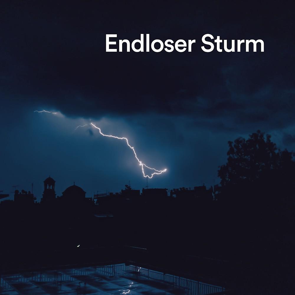 Постер альбома Endloser Sturm