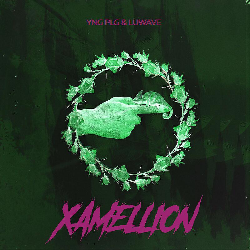 Постер альбома Xamellion