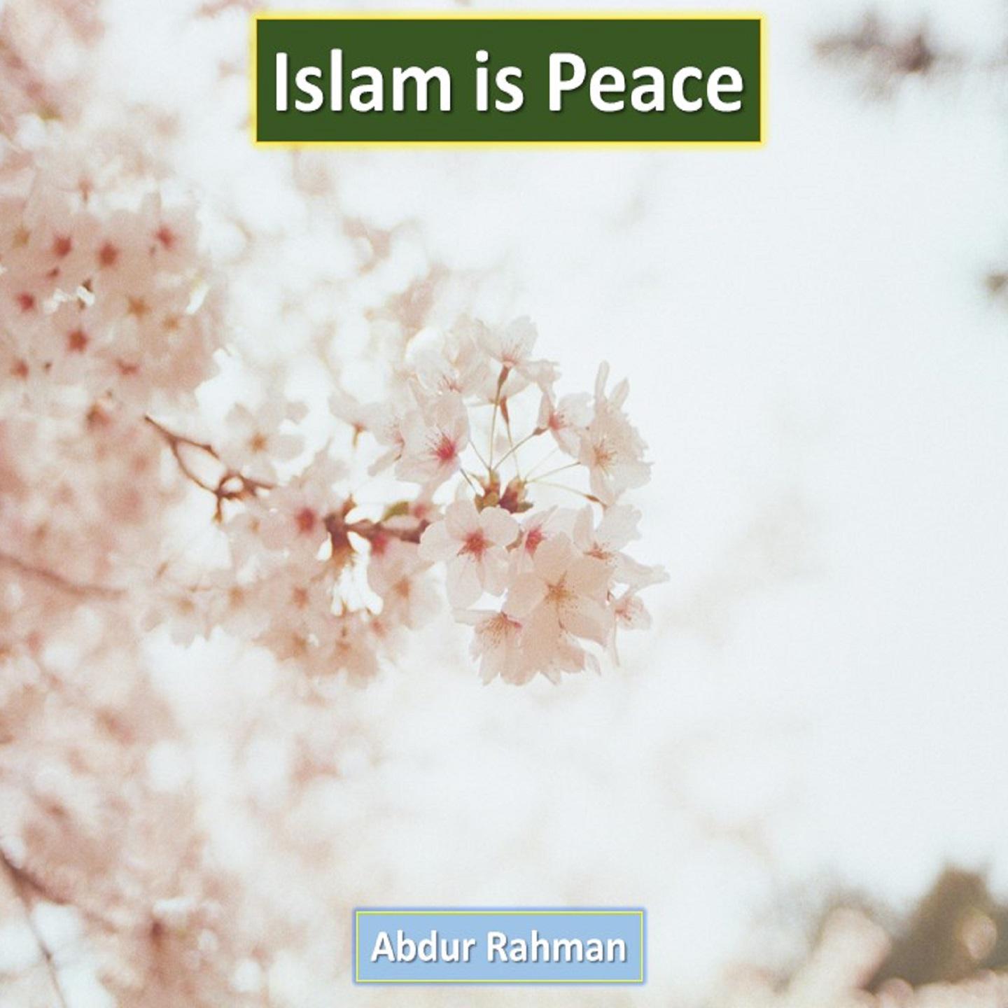 Постер альбома Islam is Peace