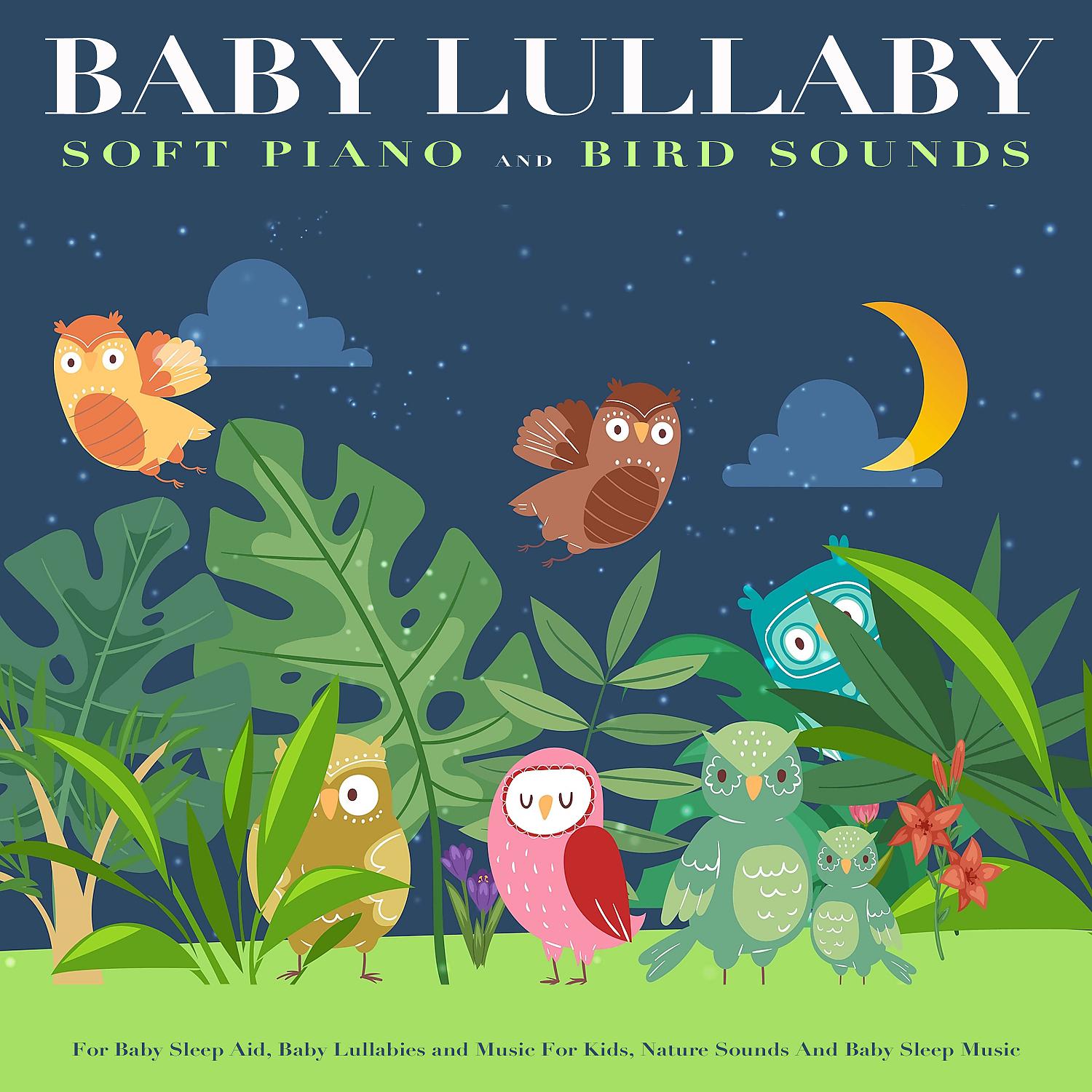 Постер альбома Baby Lullaby: Soft Piano and Bird Sounds For Baby Sleep Aid, Baby Lullabies and Music For Kids, Nature Sounds And Baby Sleep Music