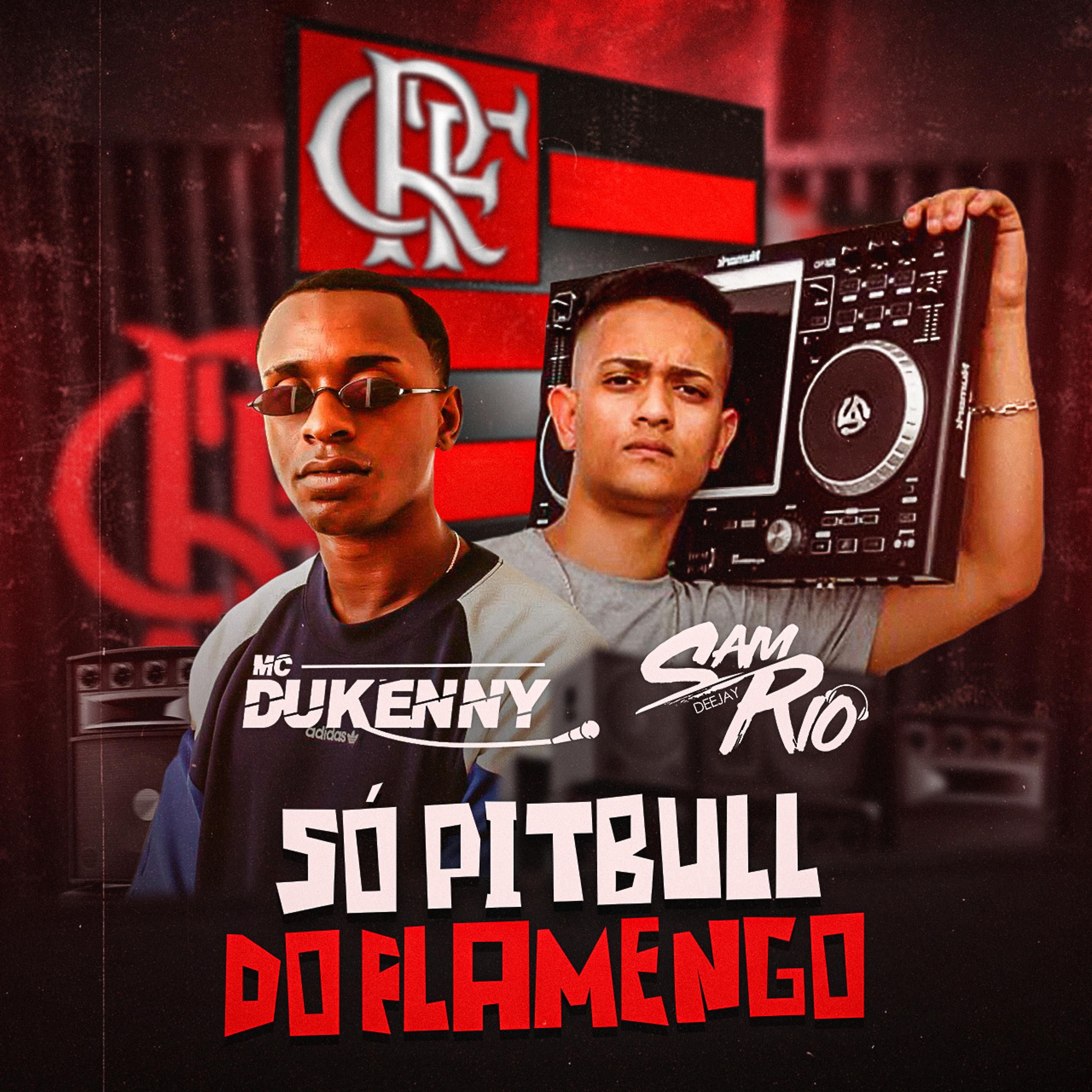 Постер альбома Só Pitbull do Flamengo
