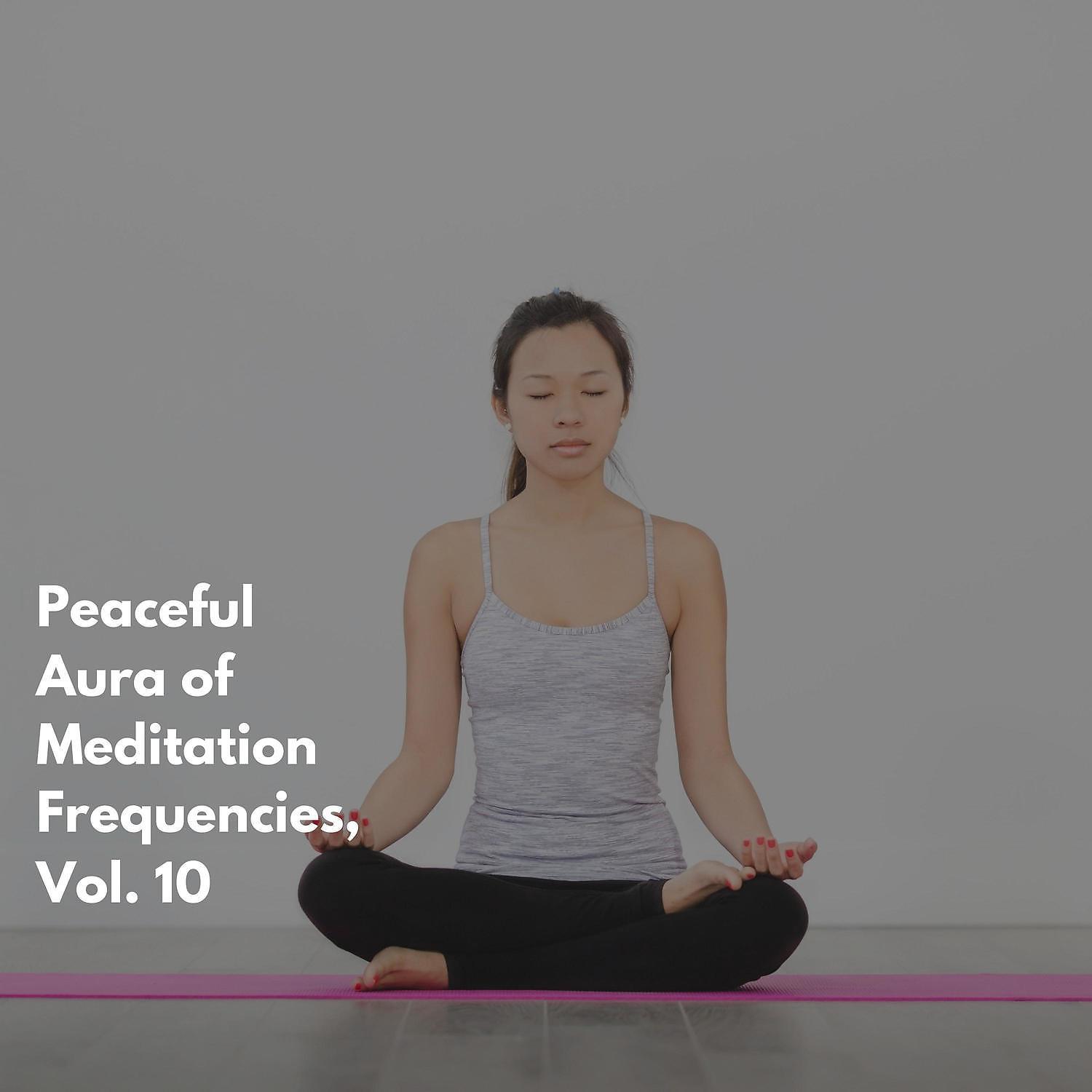 Постер альбома Peaceful Aura of Meditation Frequencies, Vol. 10