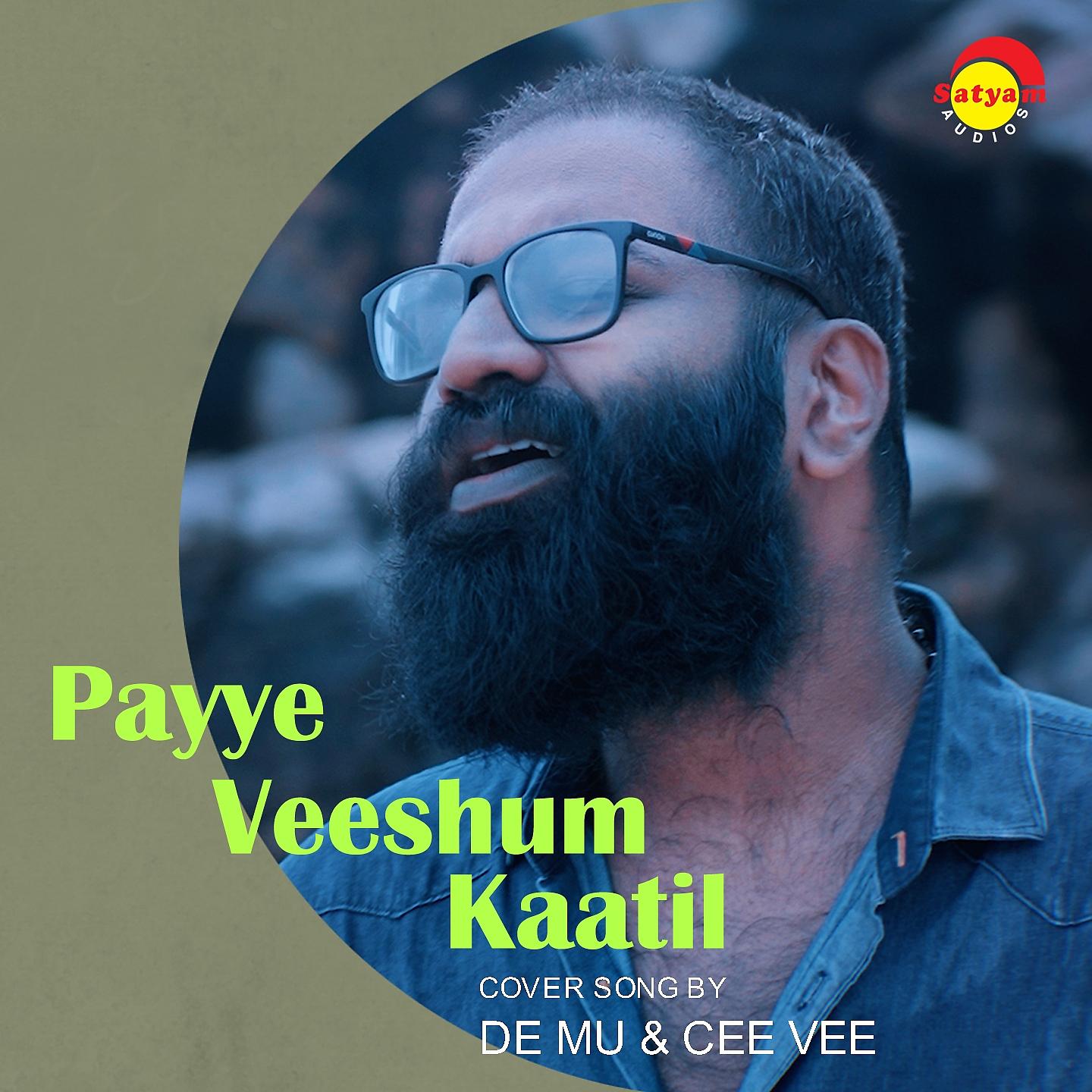 Постер альбома Payye Veeshum Kaatil