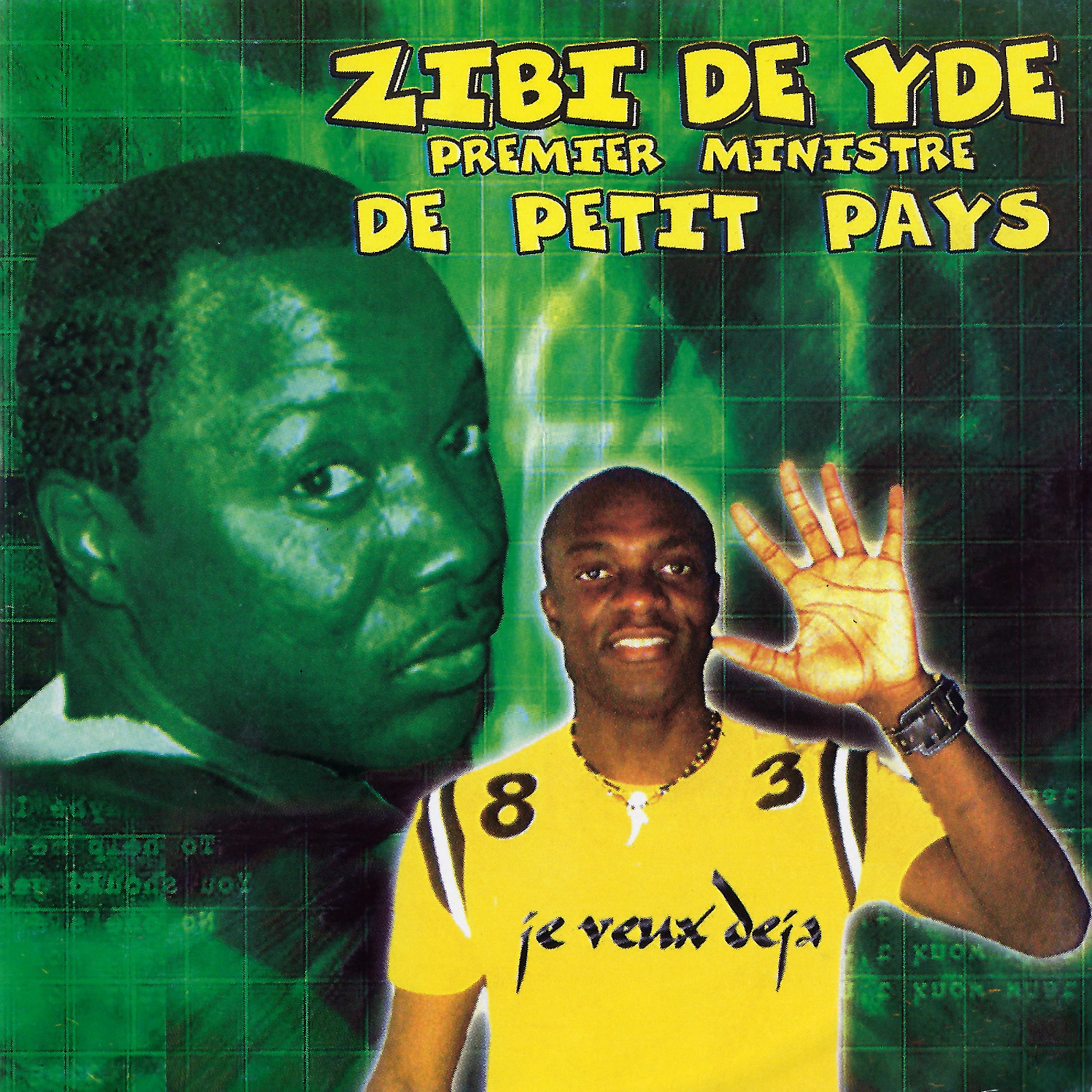Постер альбома Zibi de yde