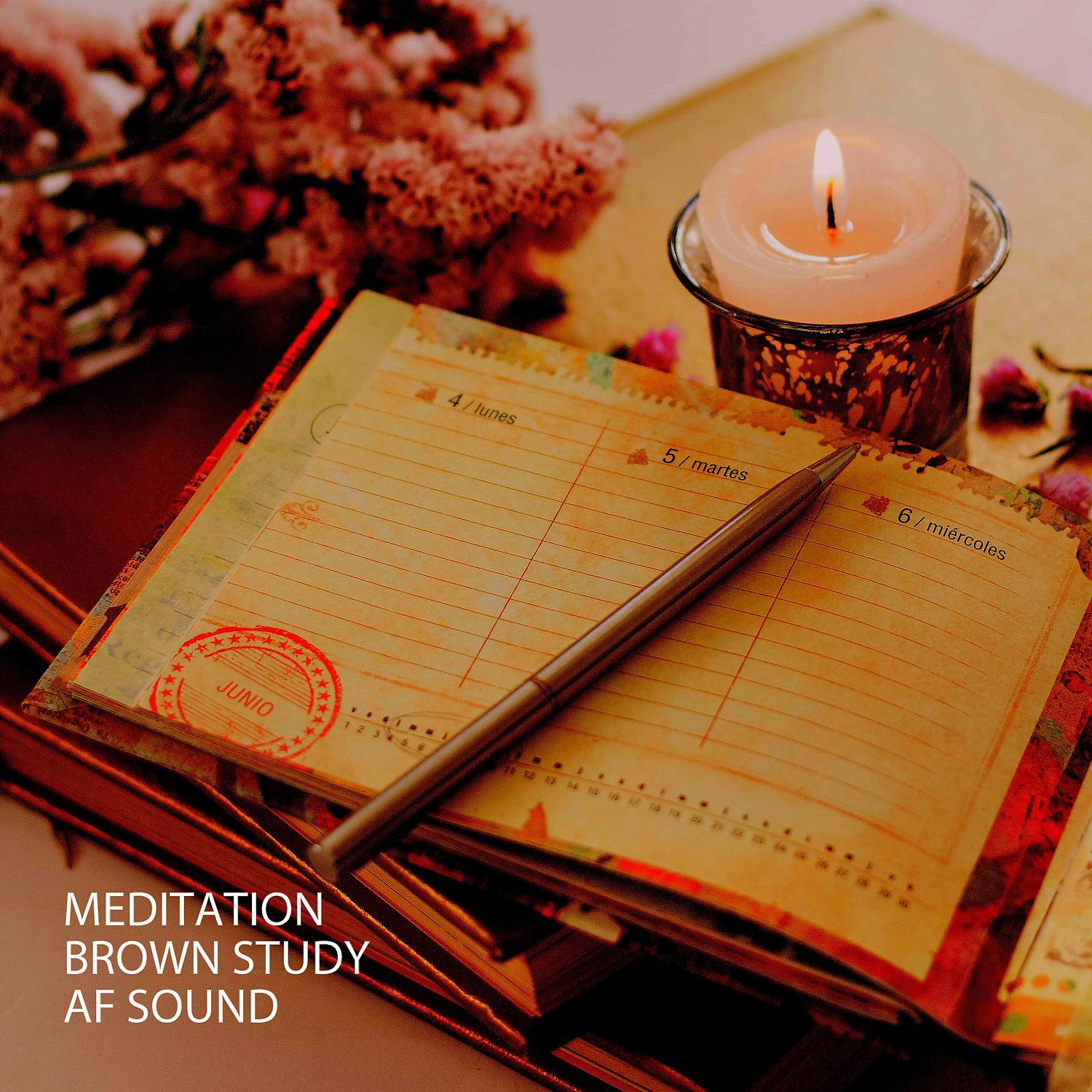 Постер альбома Meditation: Brown Study AF Sound