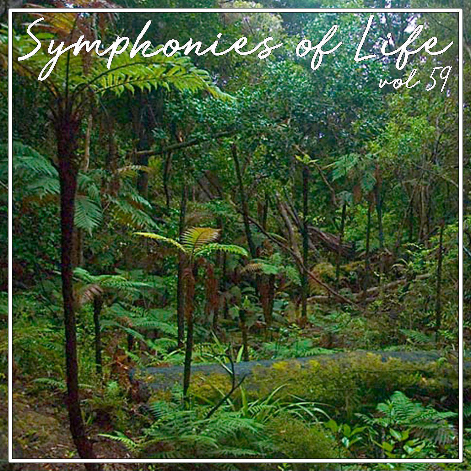 Постер альбома Symphonies of Life, Vol. 59 - Zemlinsky; The King Kandaules