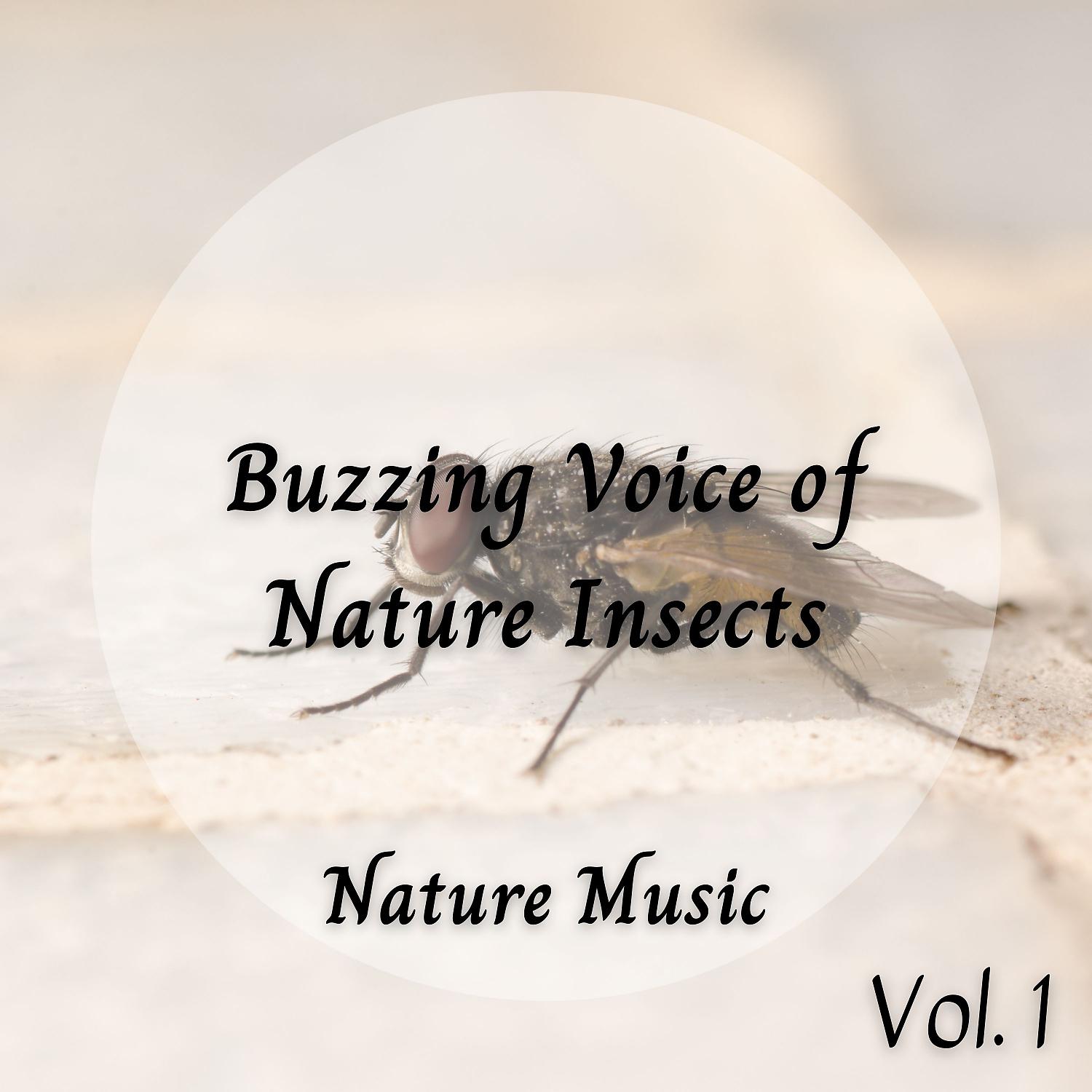 Постер альбома Nature Music: Buzzing Voice of Nature Insects Vol. 1