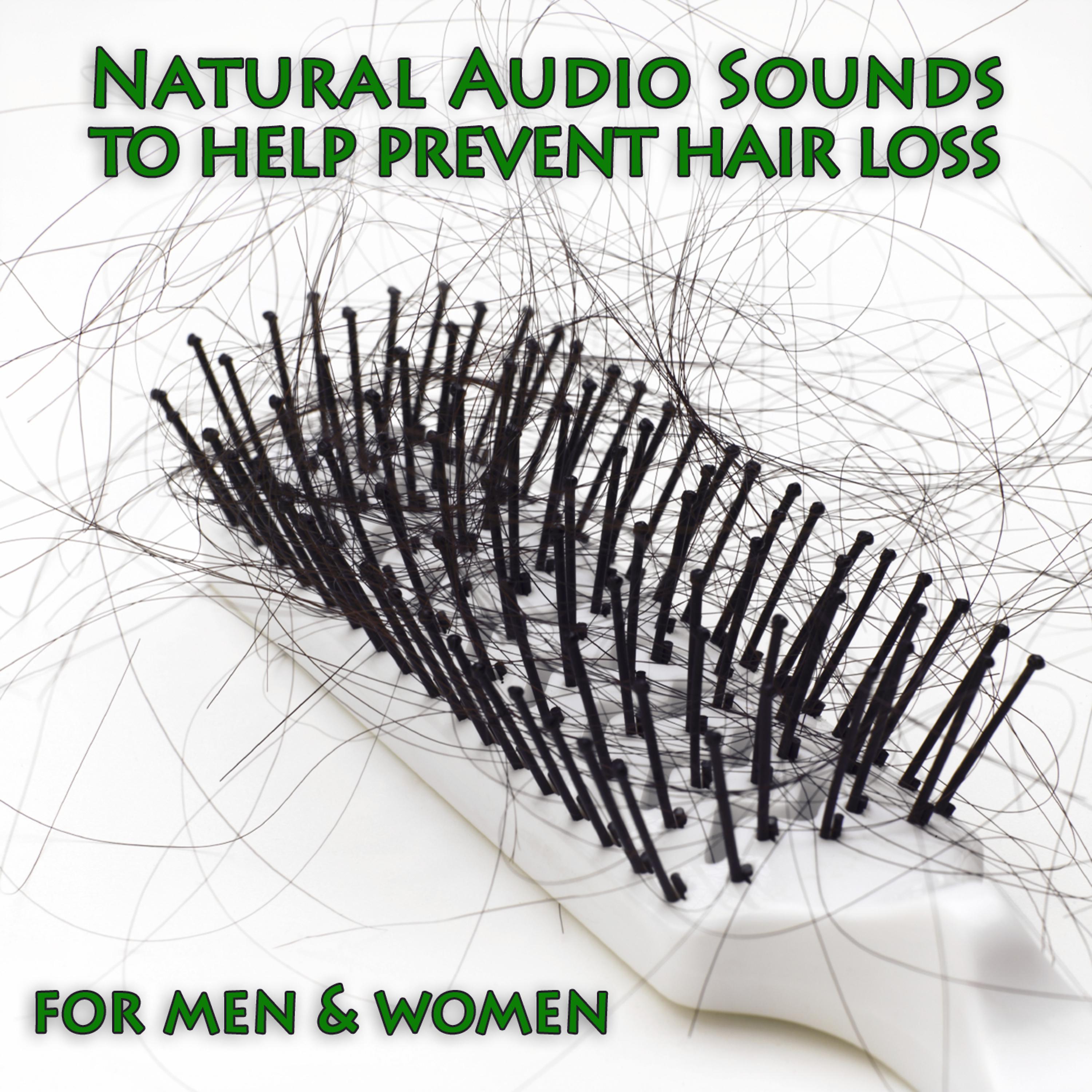 Постер альбома Natural Audio Sounds To Help Prevent Hair Loss For Men & Women