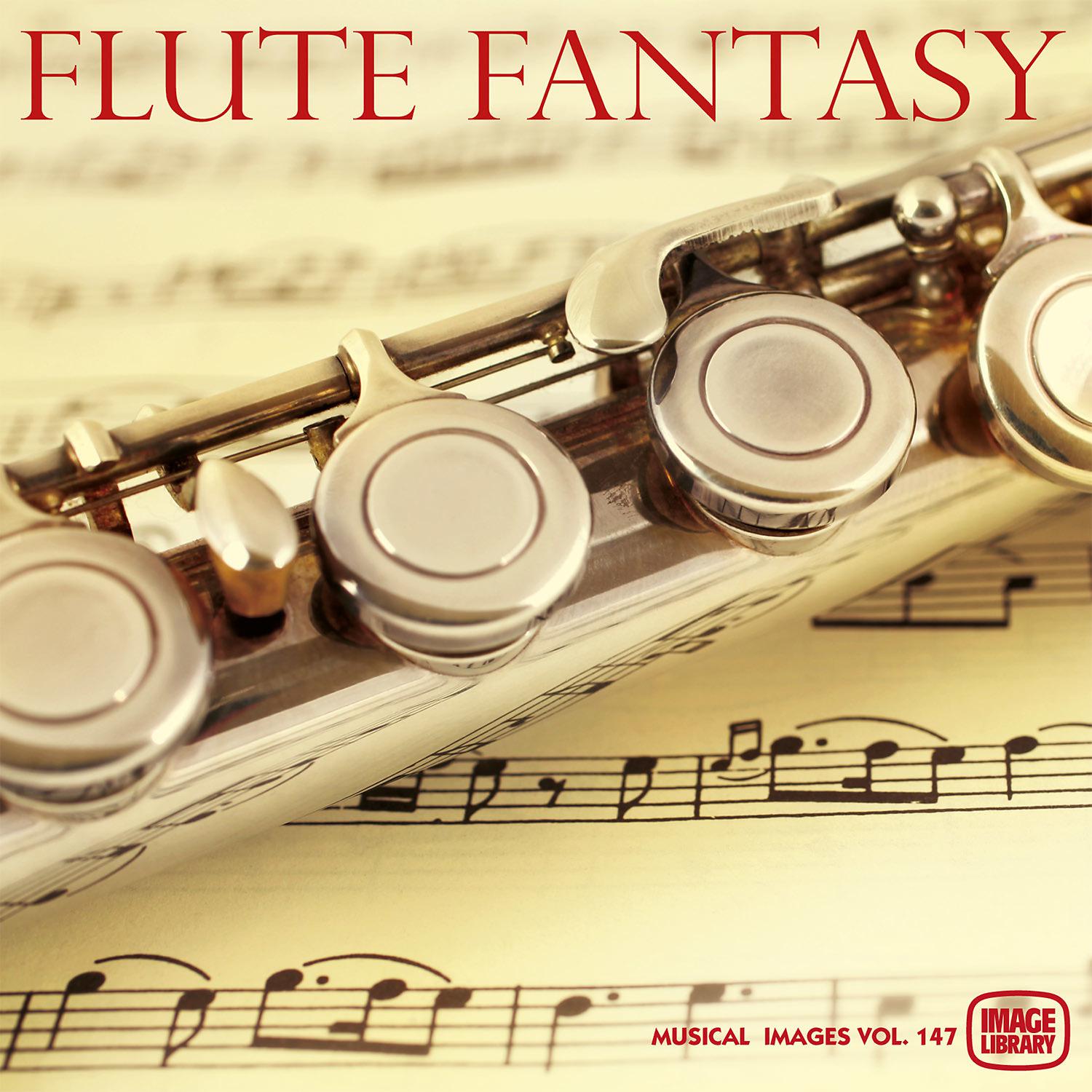 Постер альбома Flute Fantasy