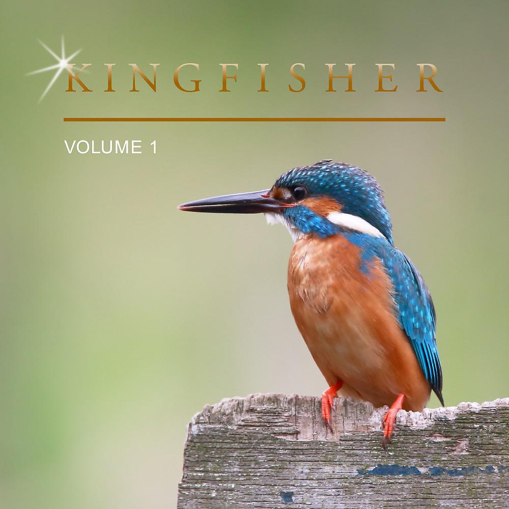 Постер альбома Kingfisher, Vol. 1