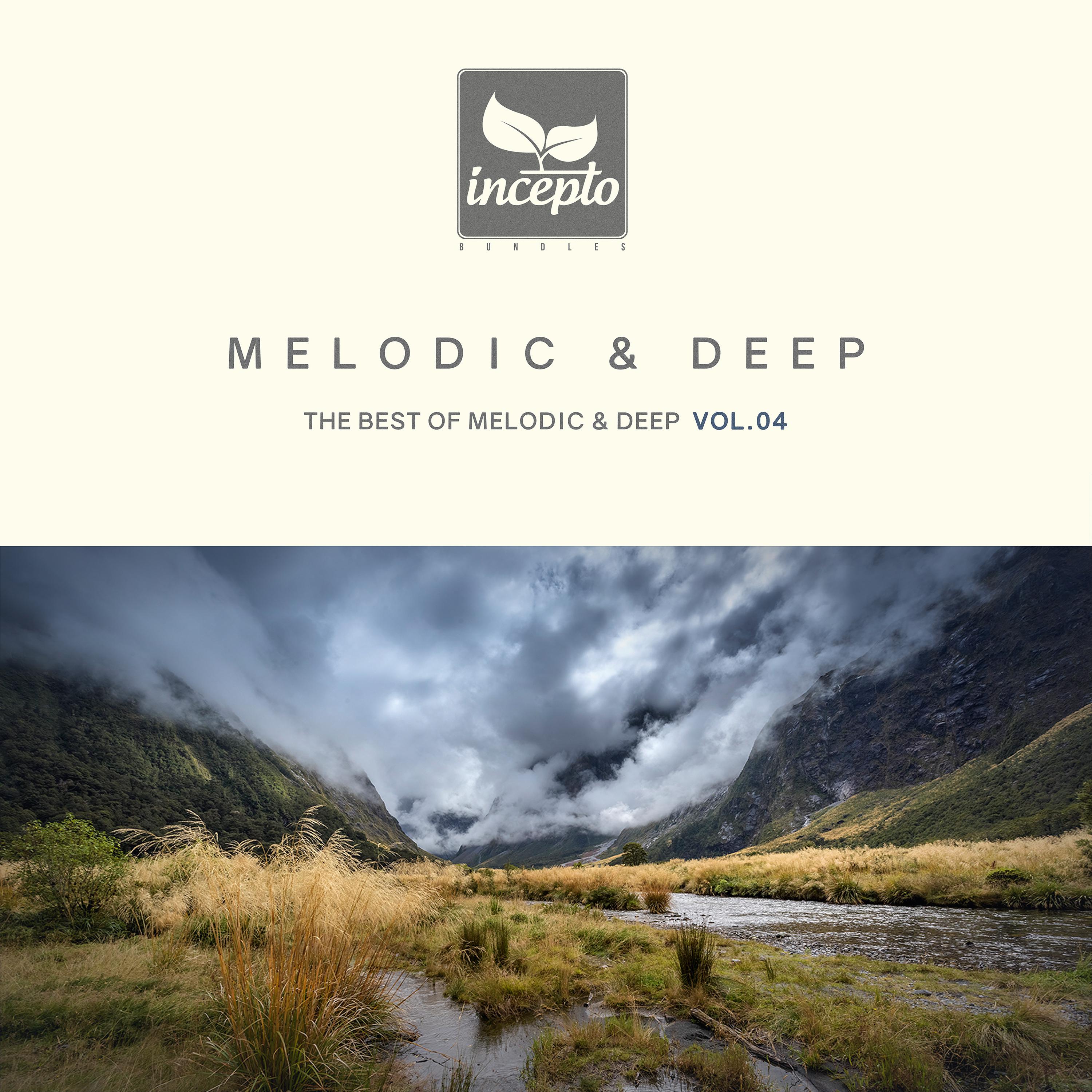 Постер альбома Melodic & Deep, Vol. 04