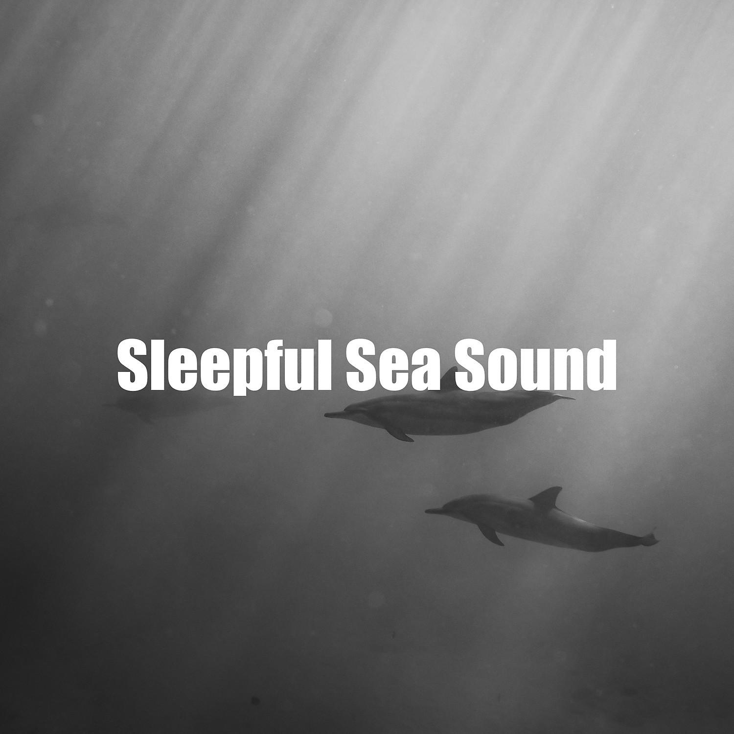 Постер альбома Sleepful Sea Sound