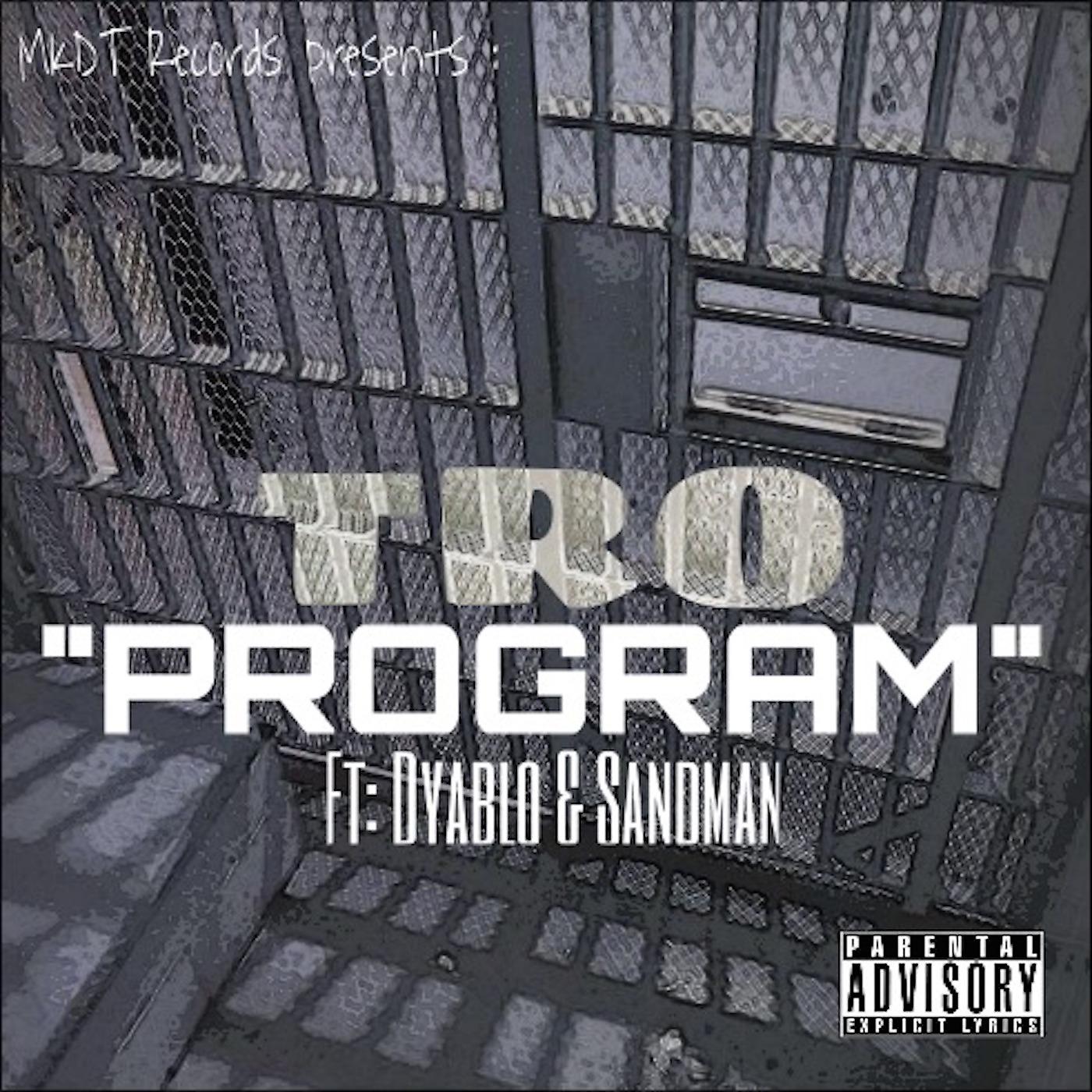 Постер альбома Program (feat. Dyablo & Sandman)