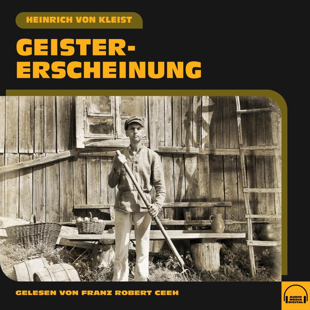 Постер альбома Geistererscheinung