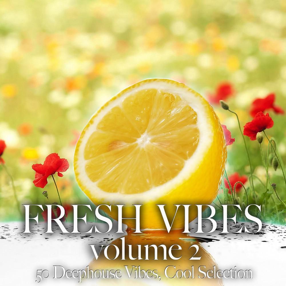 Постер альбома Fresh Vibes, Vol. 2