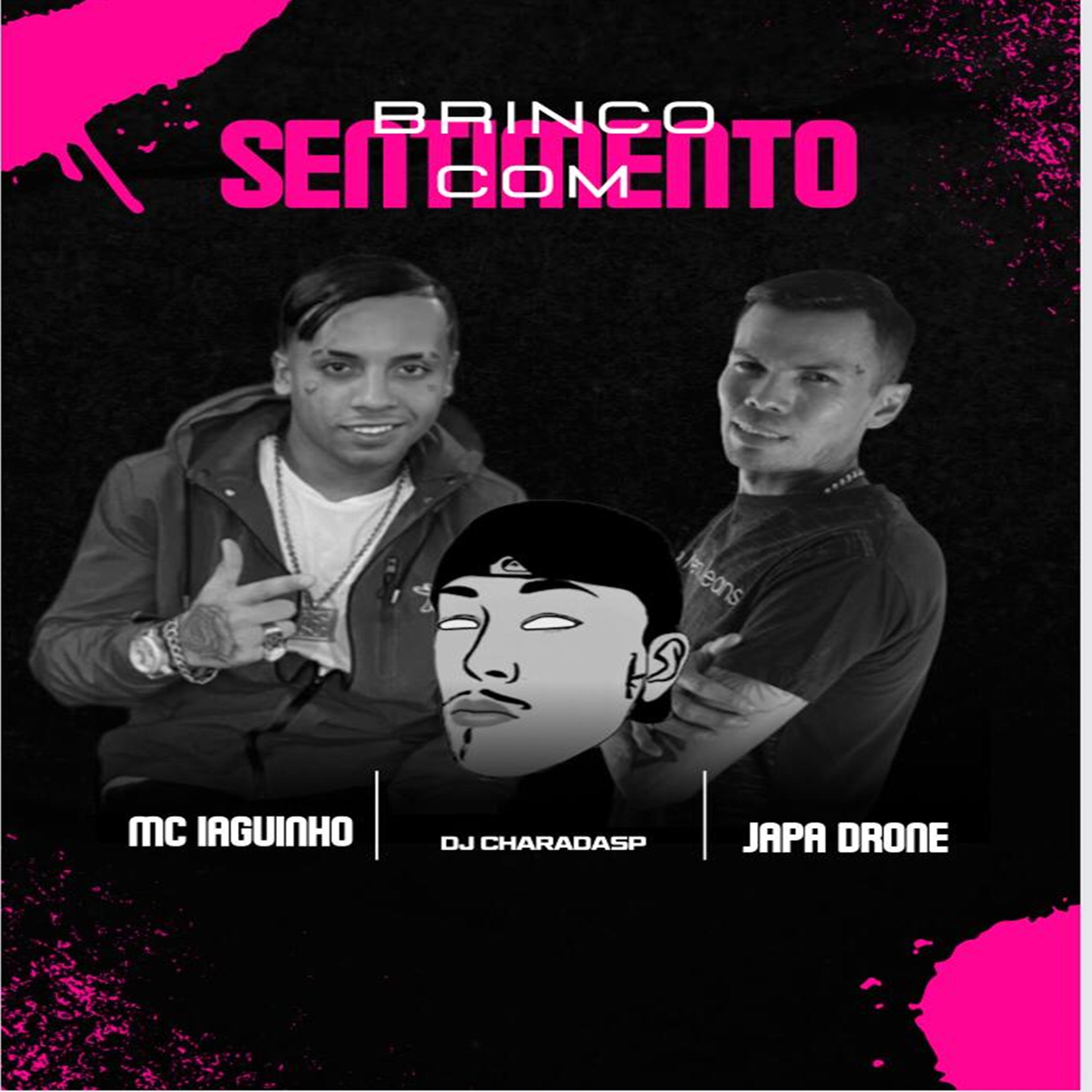 Постер альбома Brinco Com Sentimento
