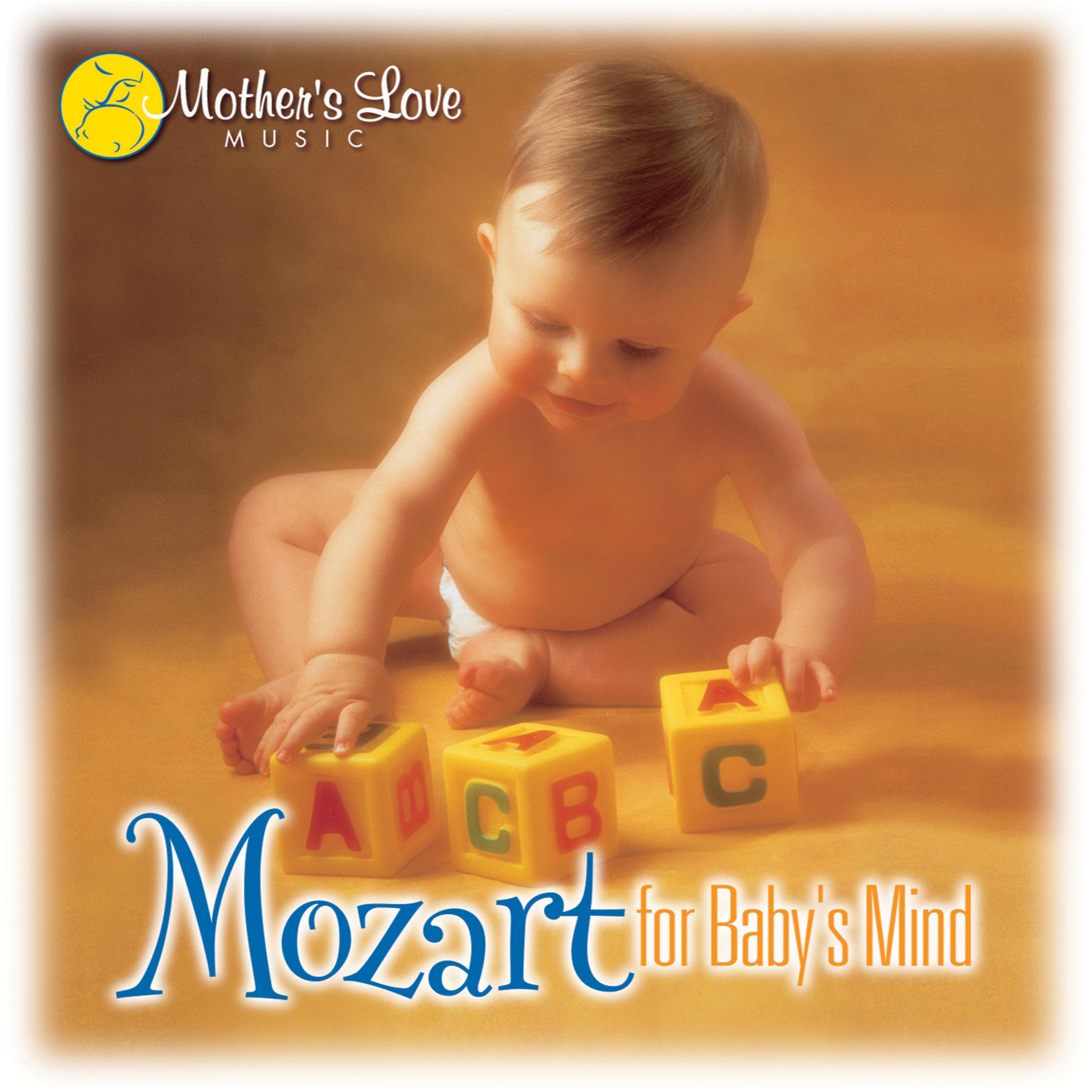 Постер альбома Mozart for Baby's Mind