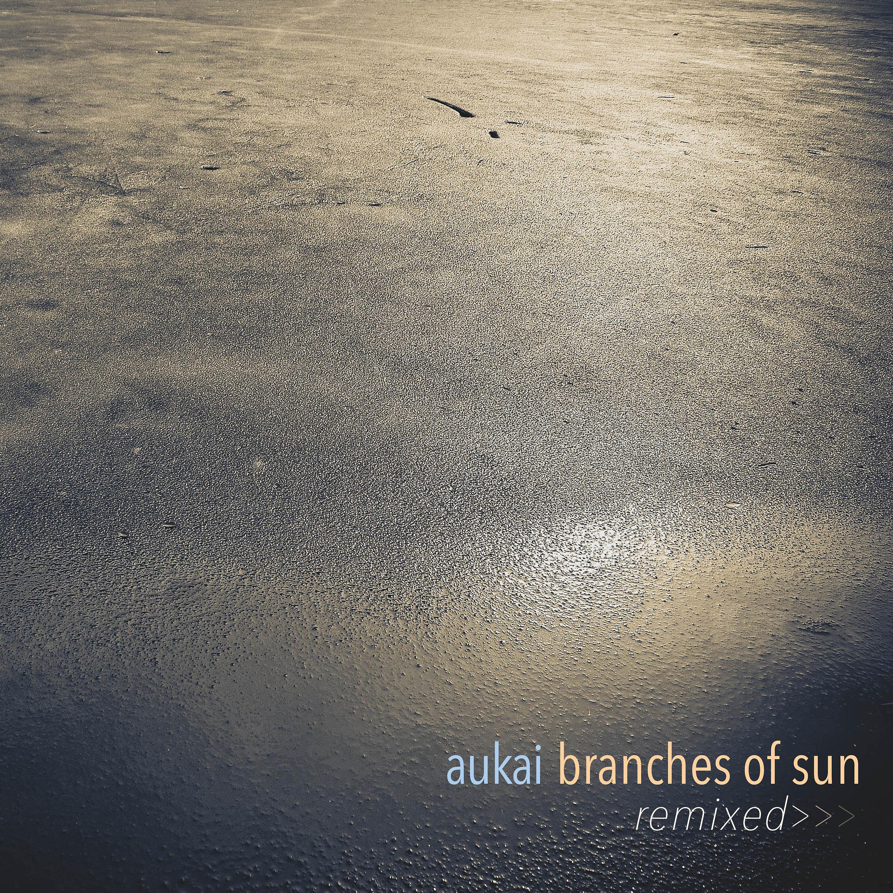 Постер альбома Branches of Sun Remixed