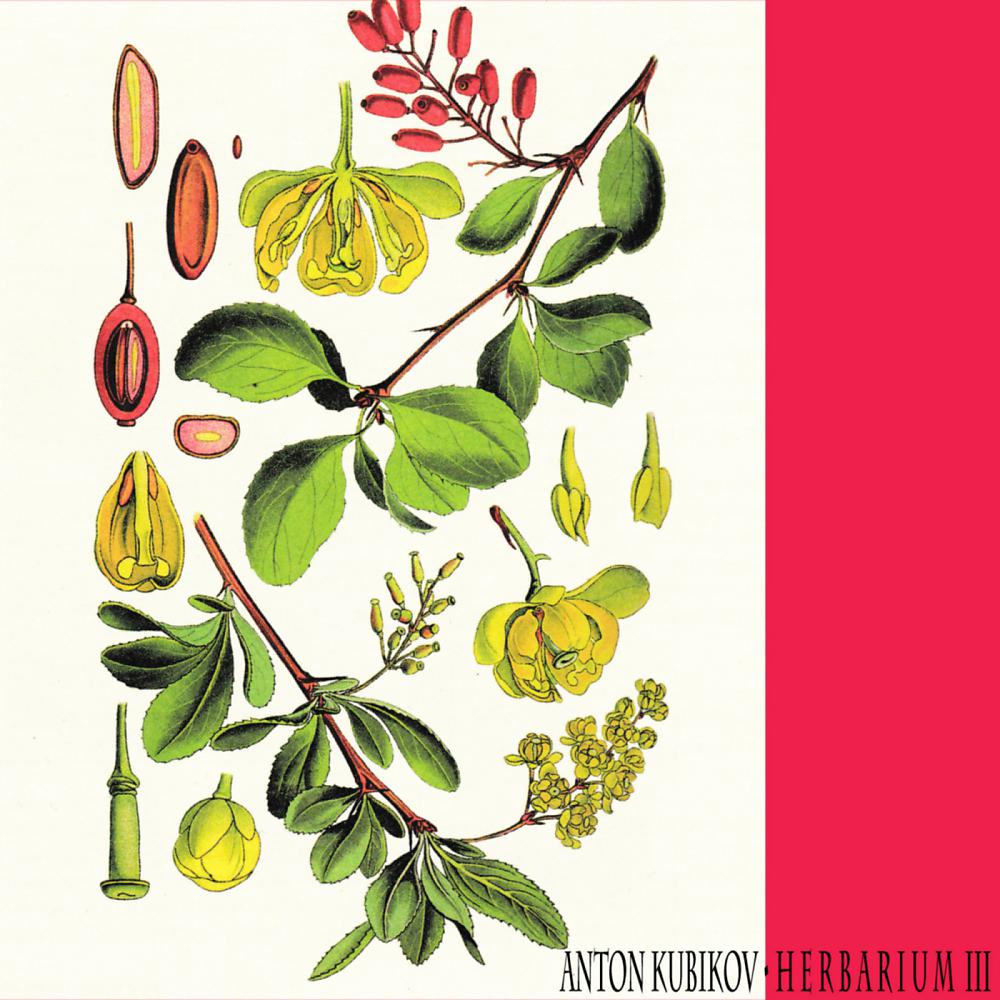 Постер альбома Herbarium, Pt. 3