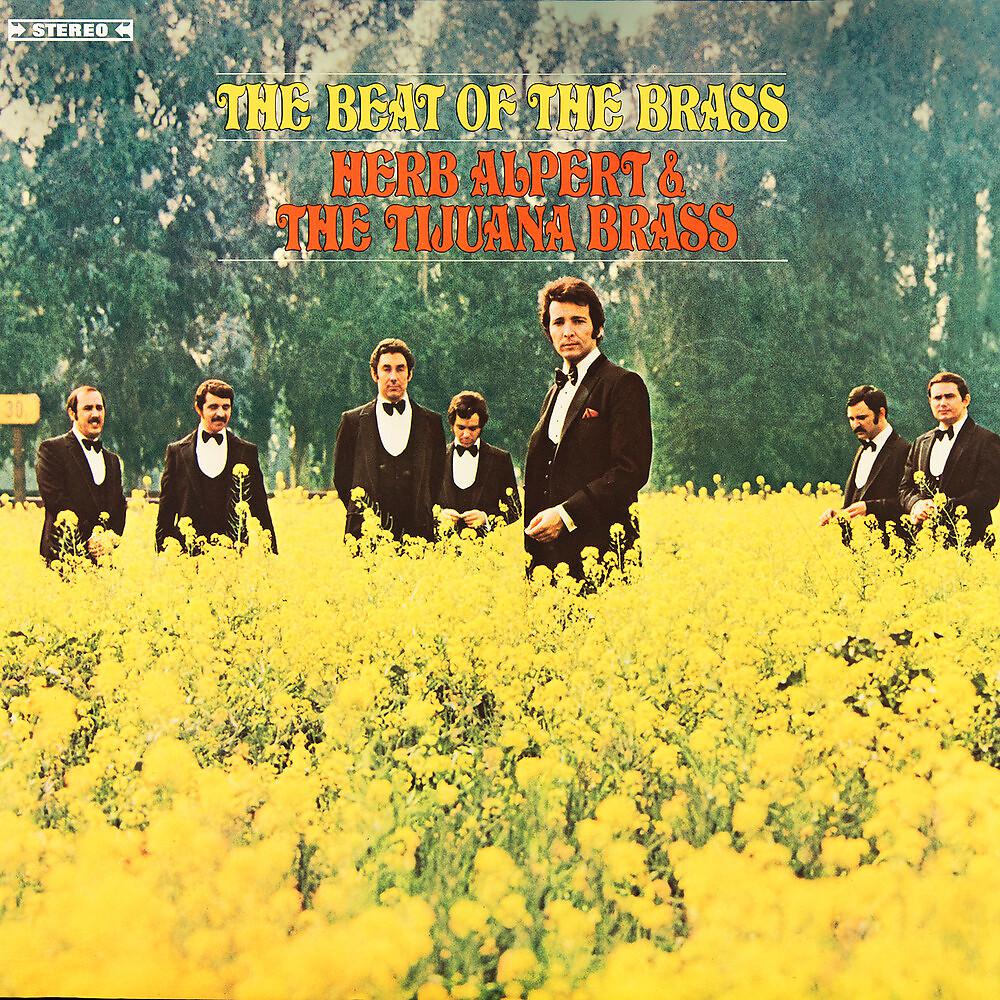 Постер альбома The Beat Of The Brass