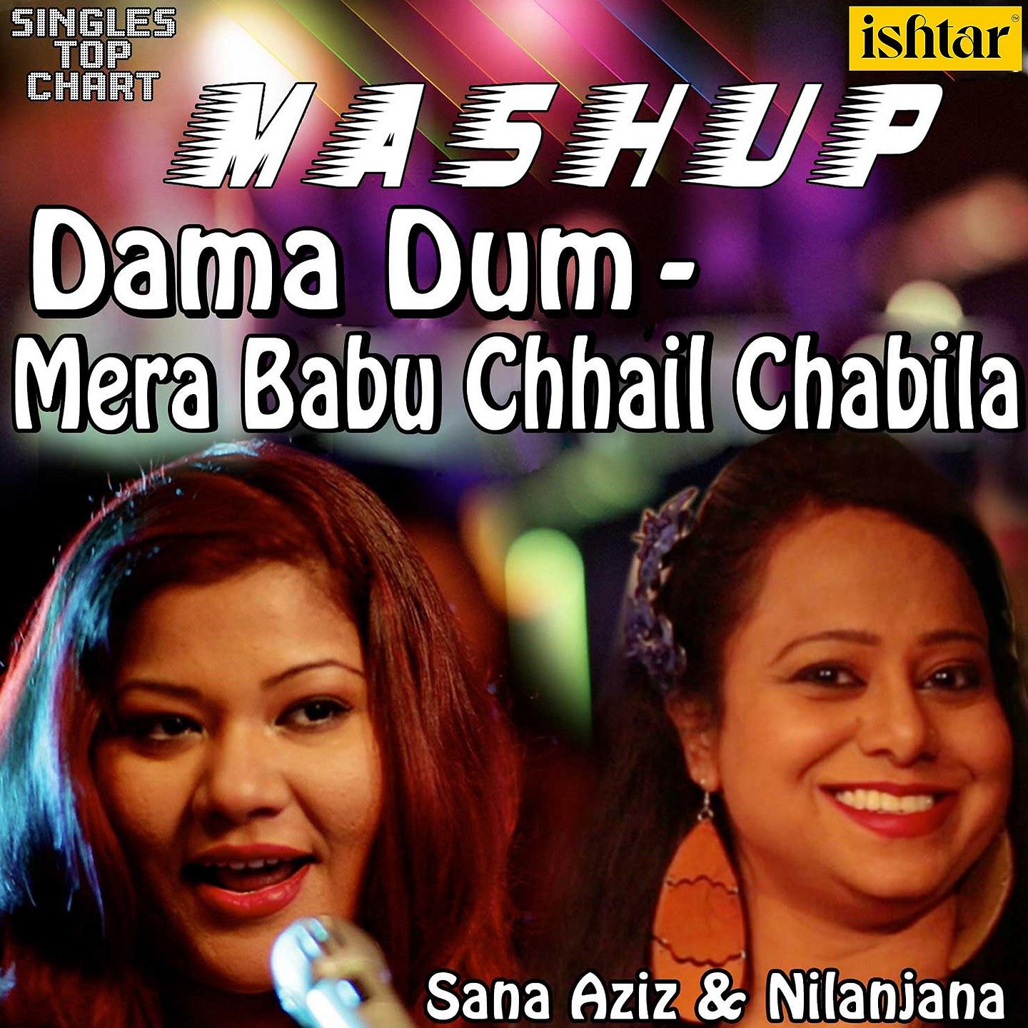 Постер альбома Mera Babu Chhail Chabila