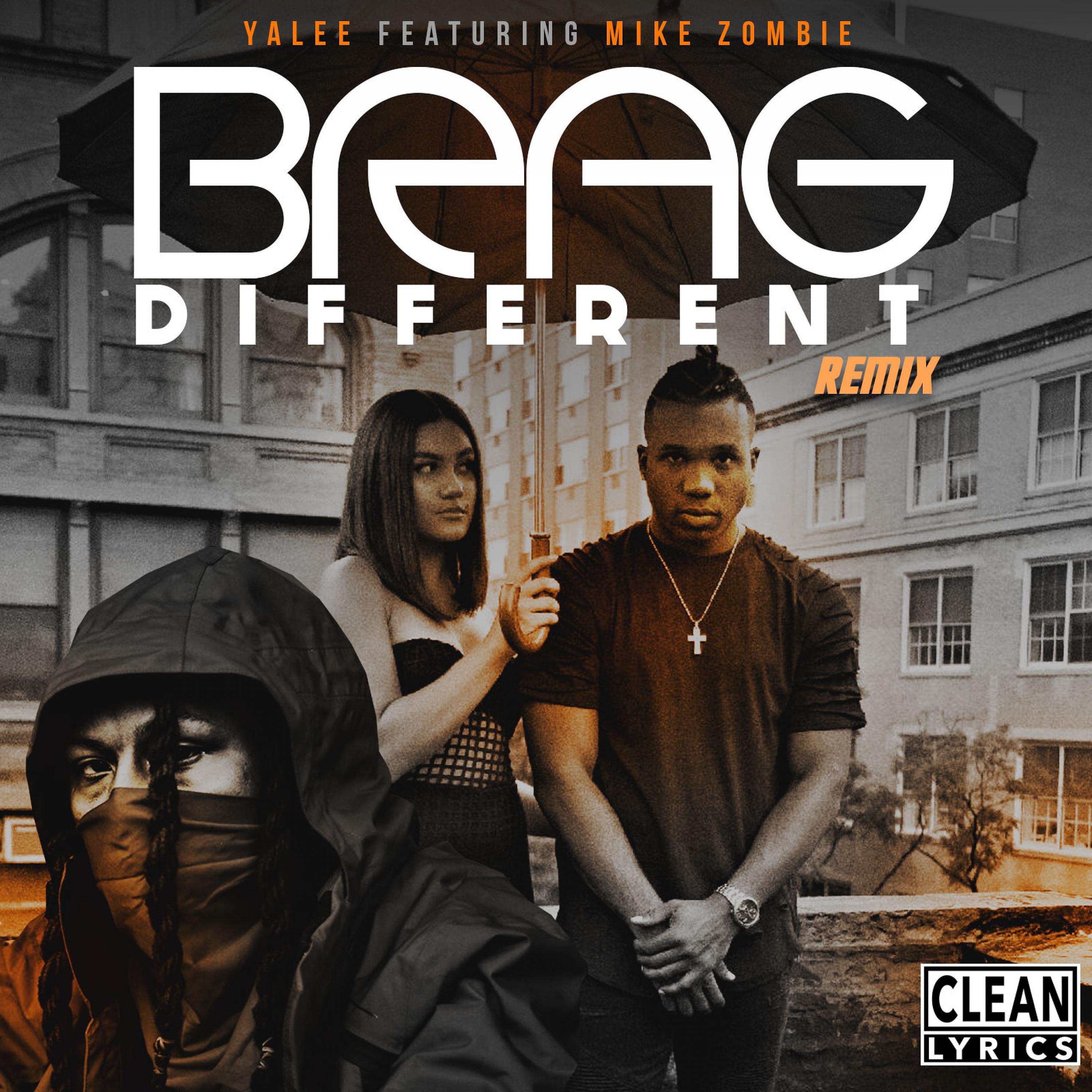 Постер альбома Brag Different (Remix) [feat. Mike Zombie]