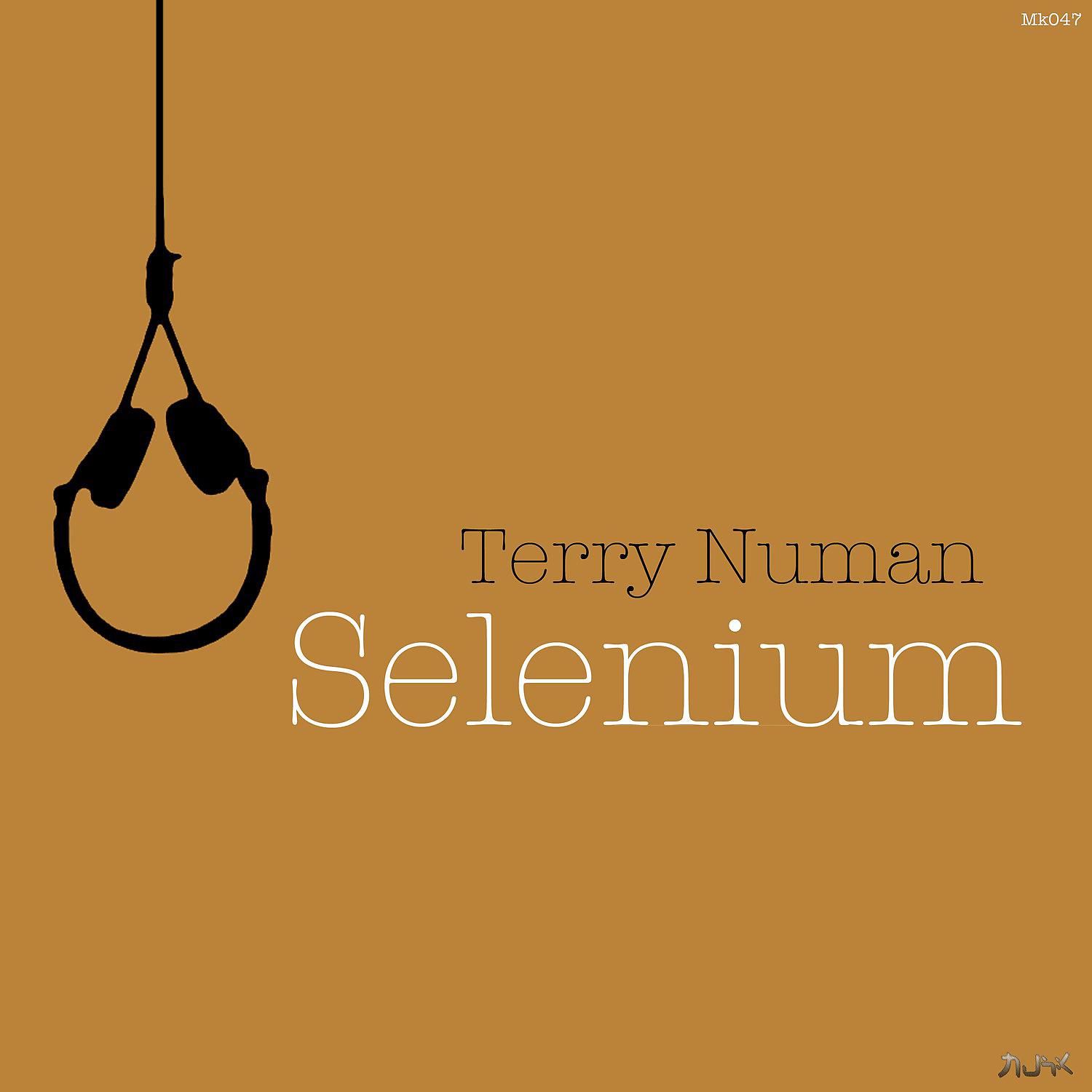 Постер альбома Selenium