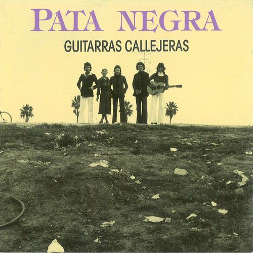 Постер альбома Guitarras Callejeras