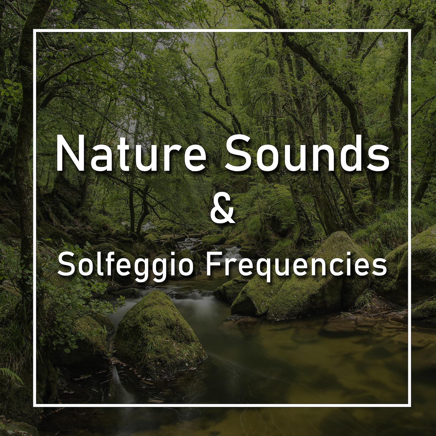 Постер альбома Nature Sounds and Solfeggio Frequencies