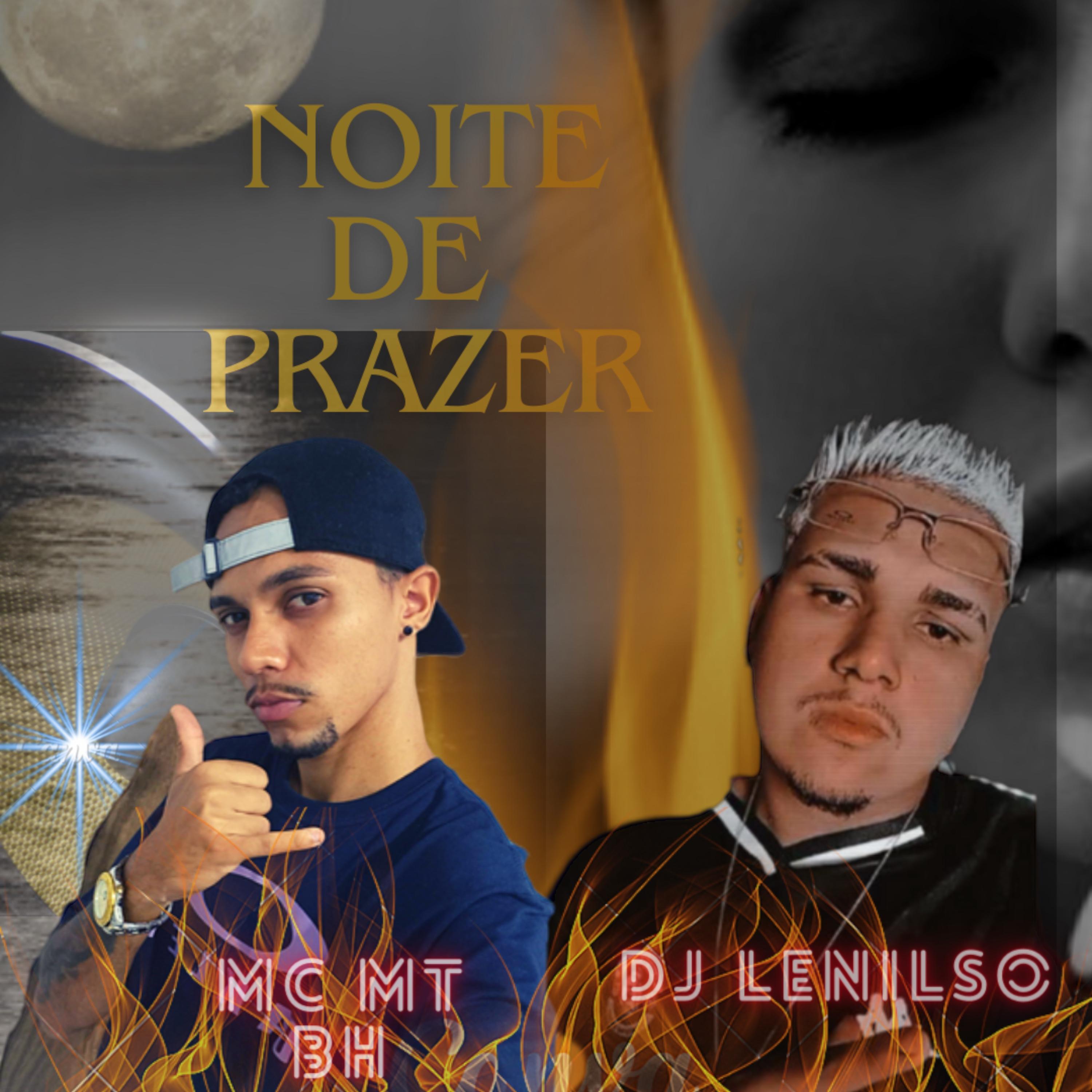 Постер альбома Noite de Prazer