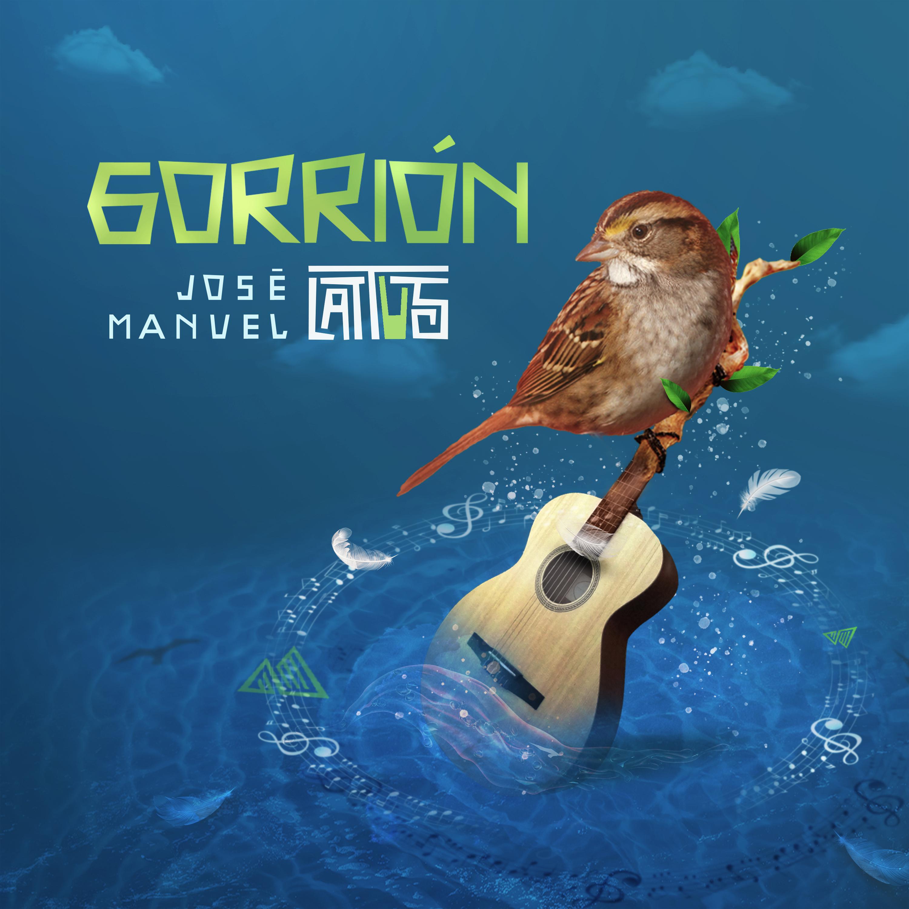 Постер альбома Gorrión