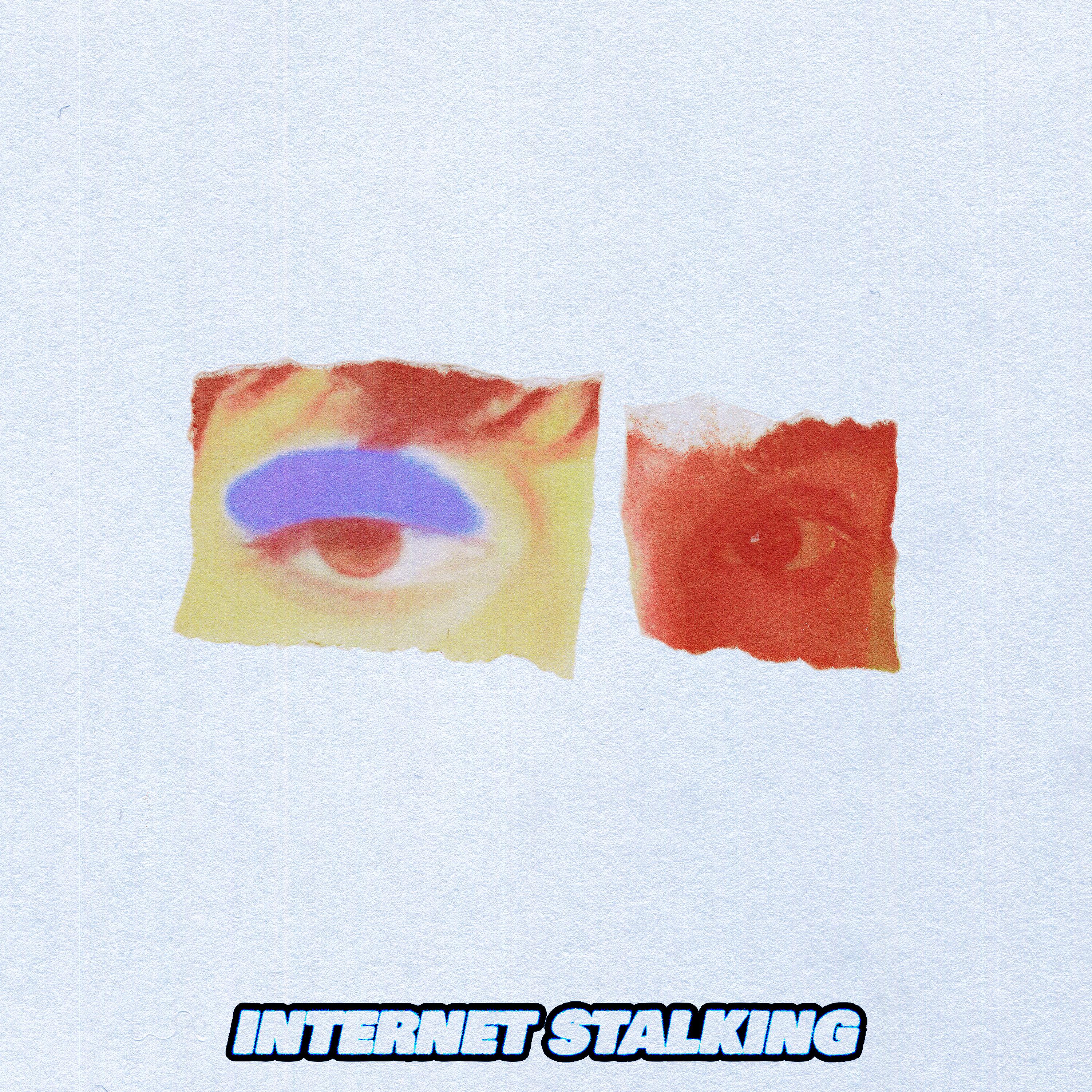 Постер альбома Internet Stalking (feat. Adam Melchor)