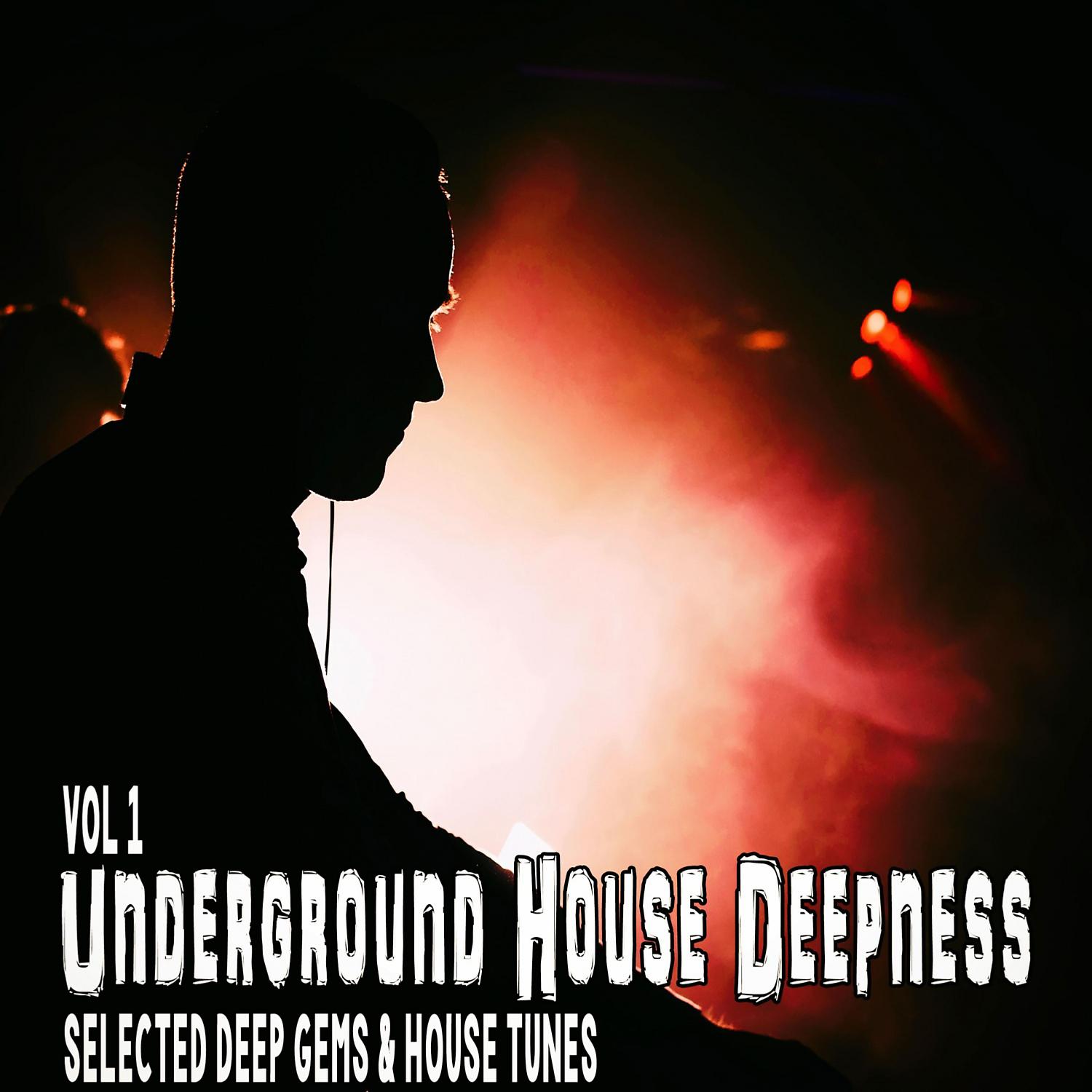 Постер альбома Underground House Deepness, Vol. 1 - Selected Deep Gems & House Tunes