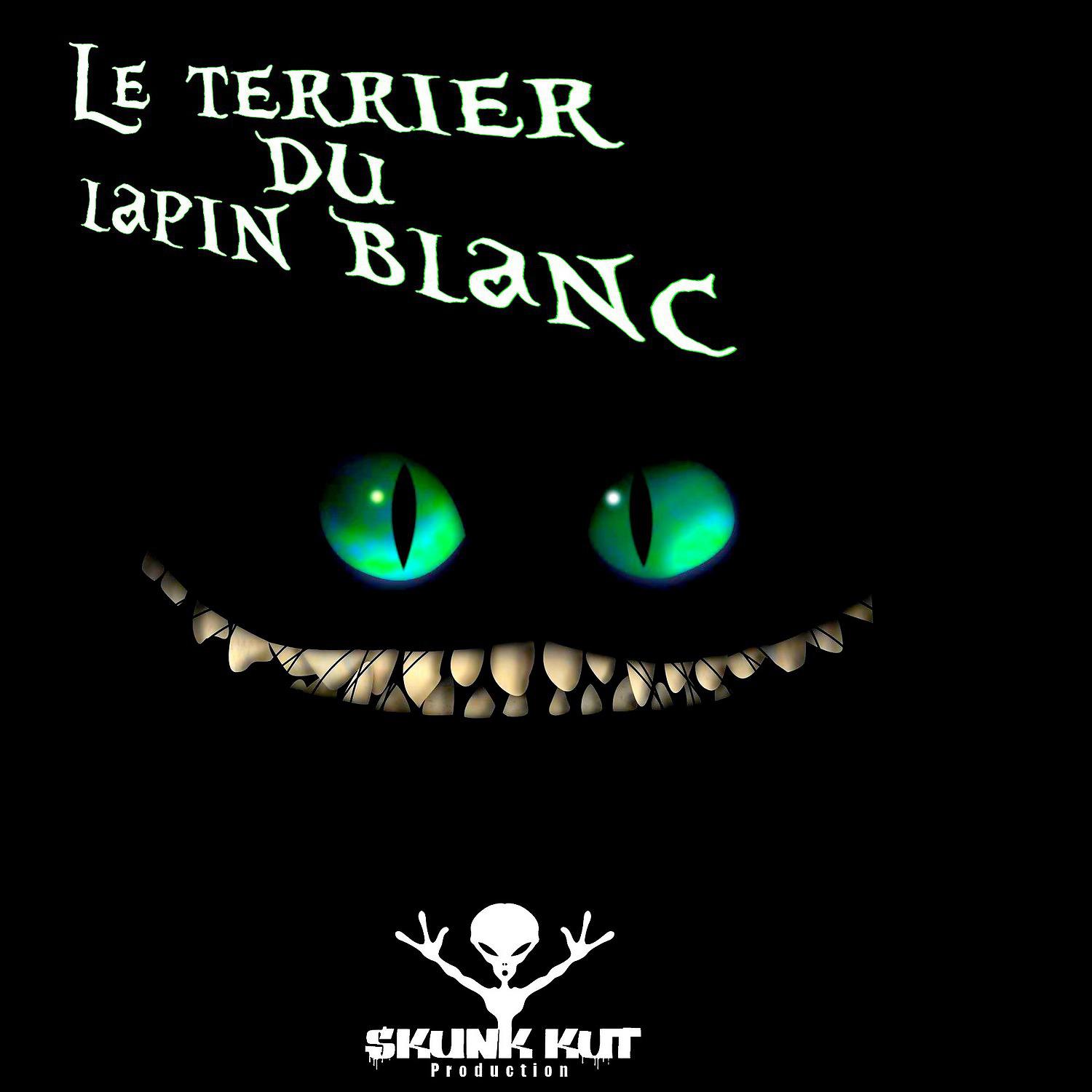 Постер альбома Le terrier du lapin blanc