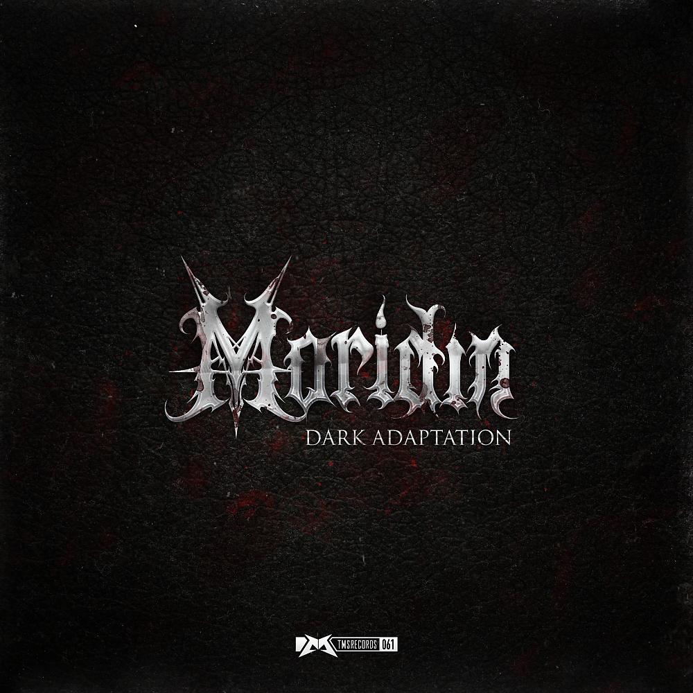 Постер альбома Dark Adaptation