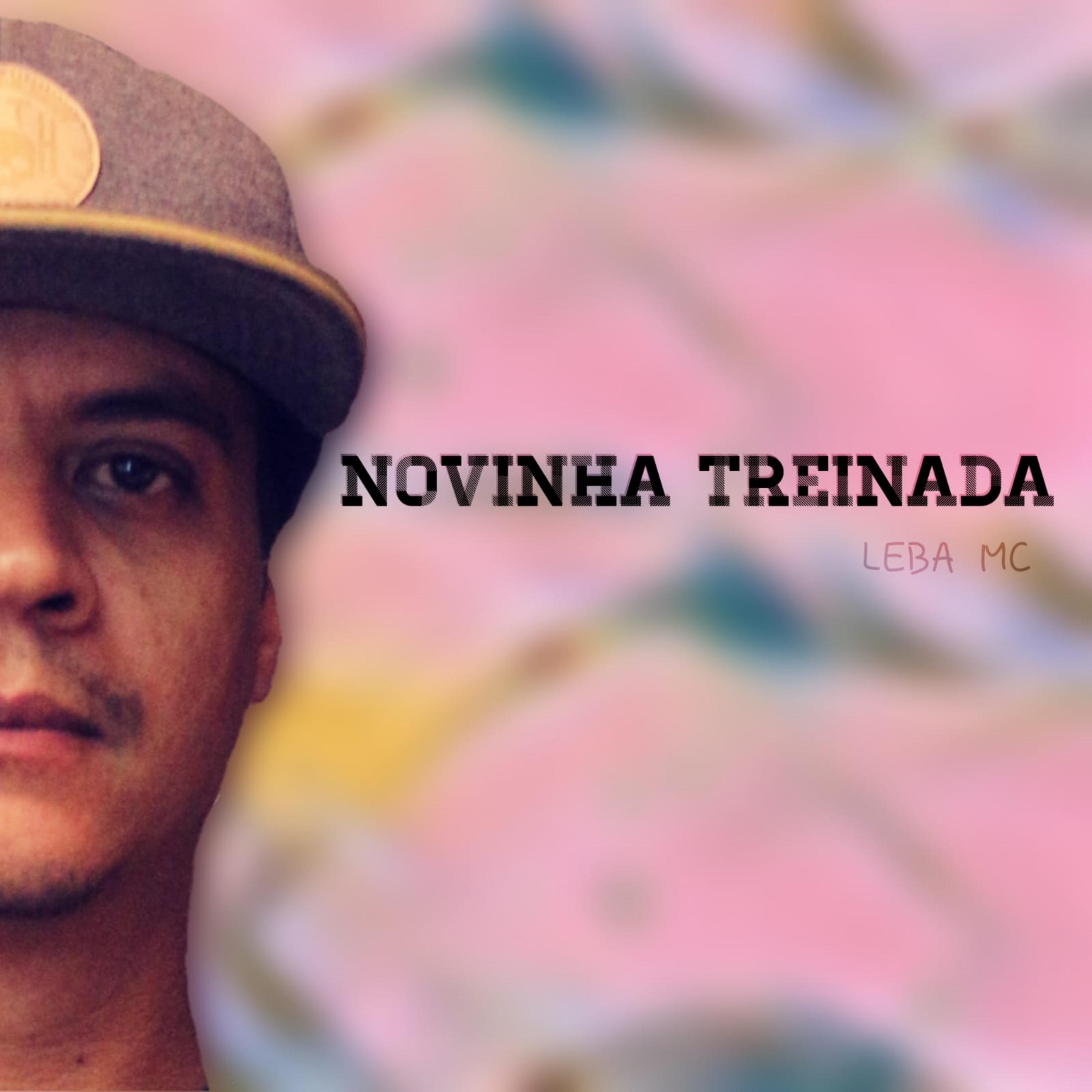 Постер альбома Novinha Treinada