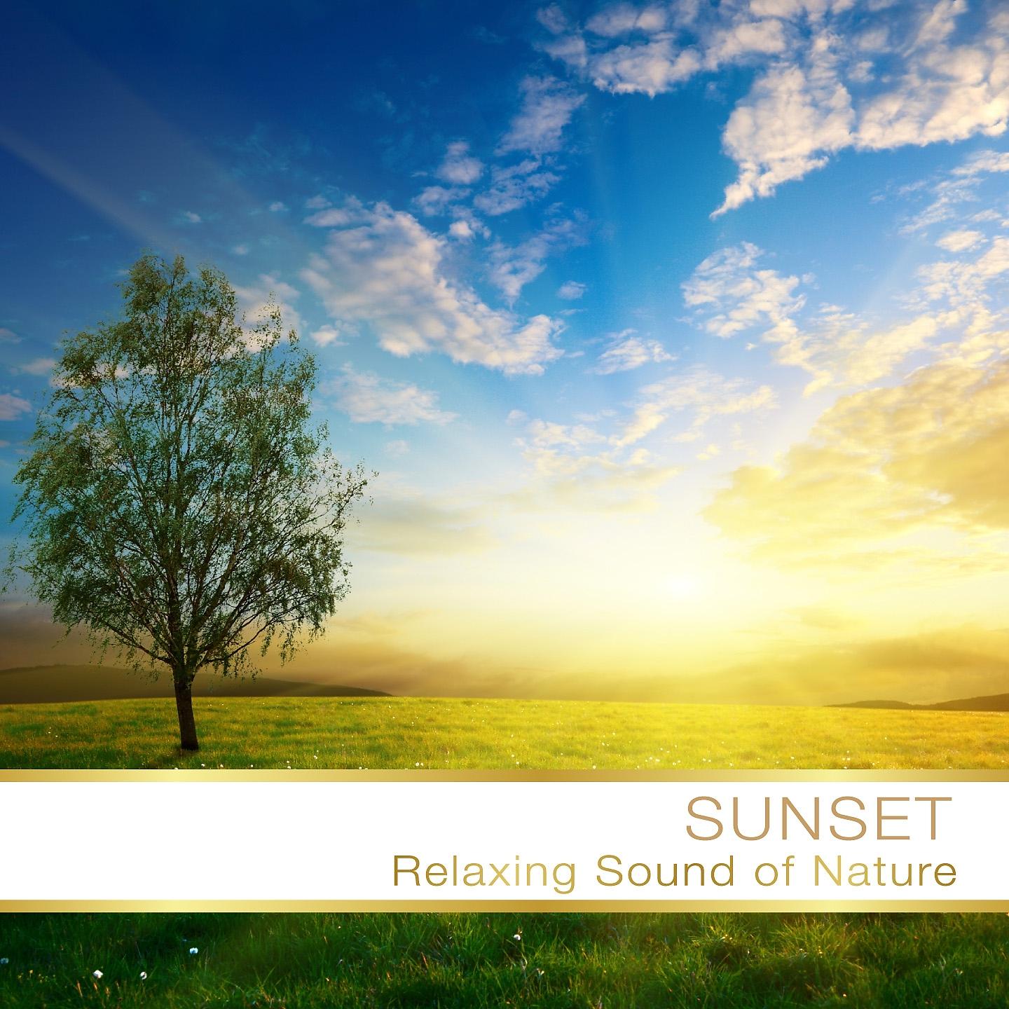 Постер альбома Sunset Relax