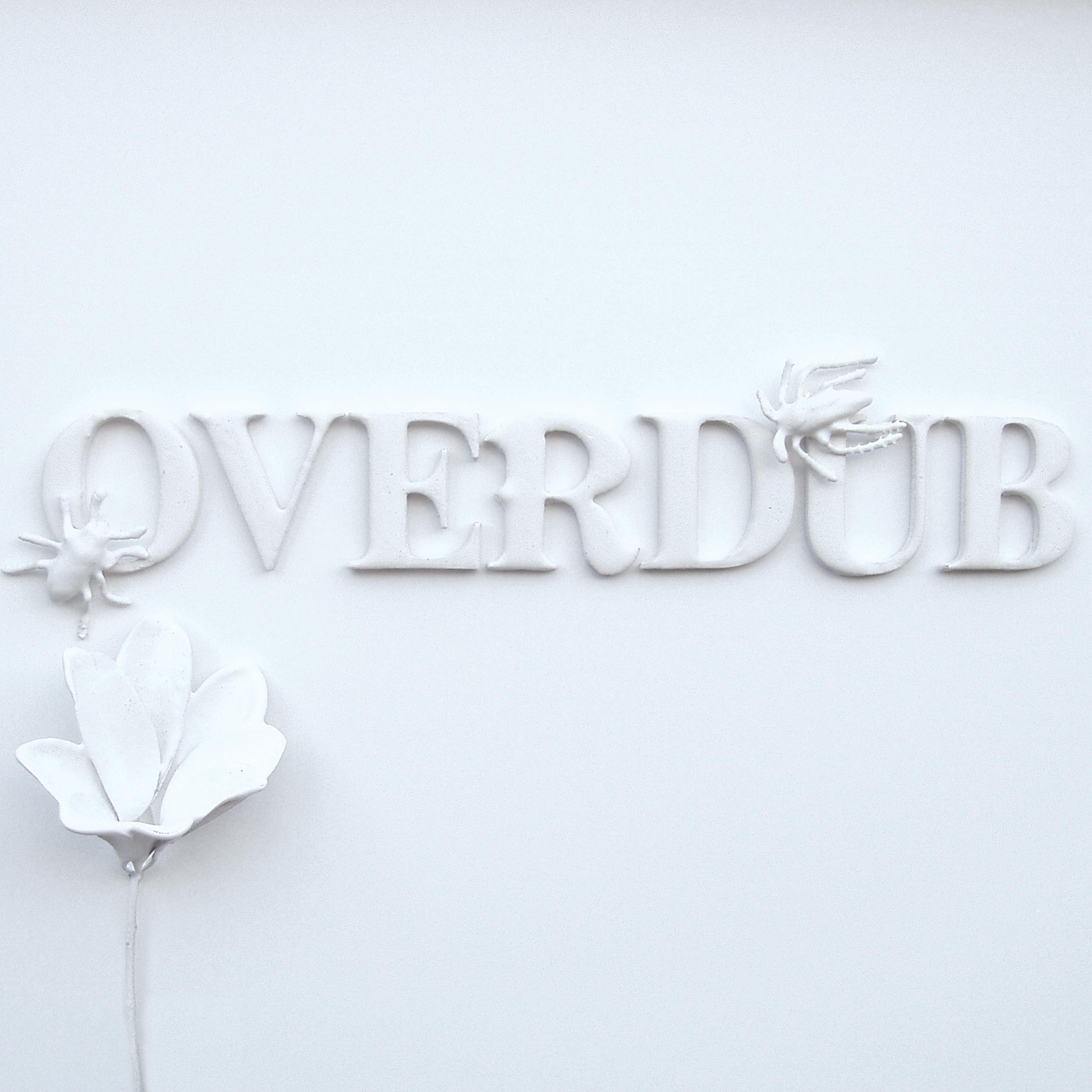 Постер альбома Overdub