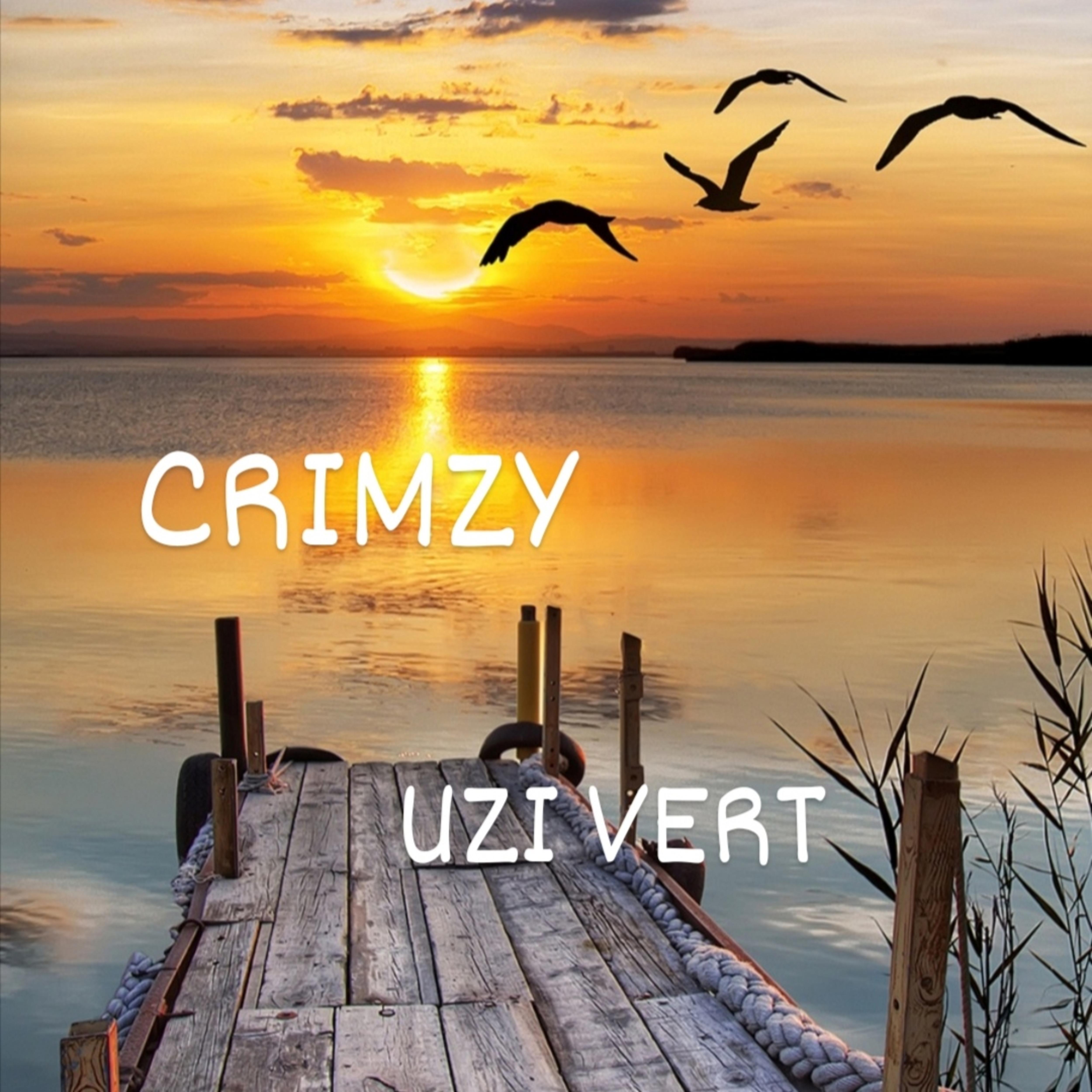 Постер альбома Uzi Vert