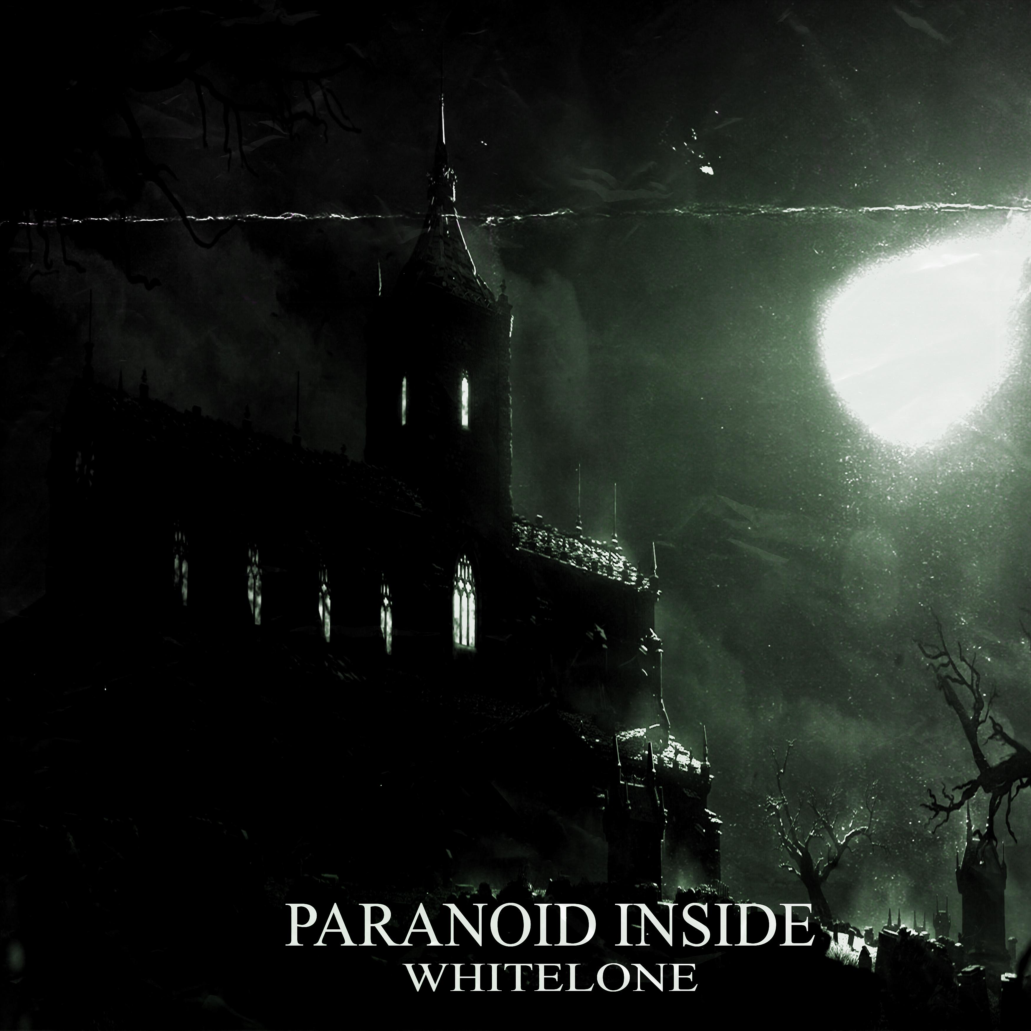 Постер альбома Paranoid Inside