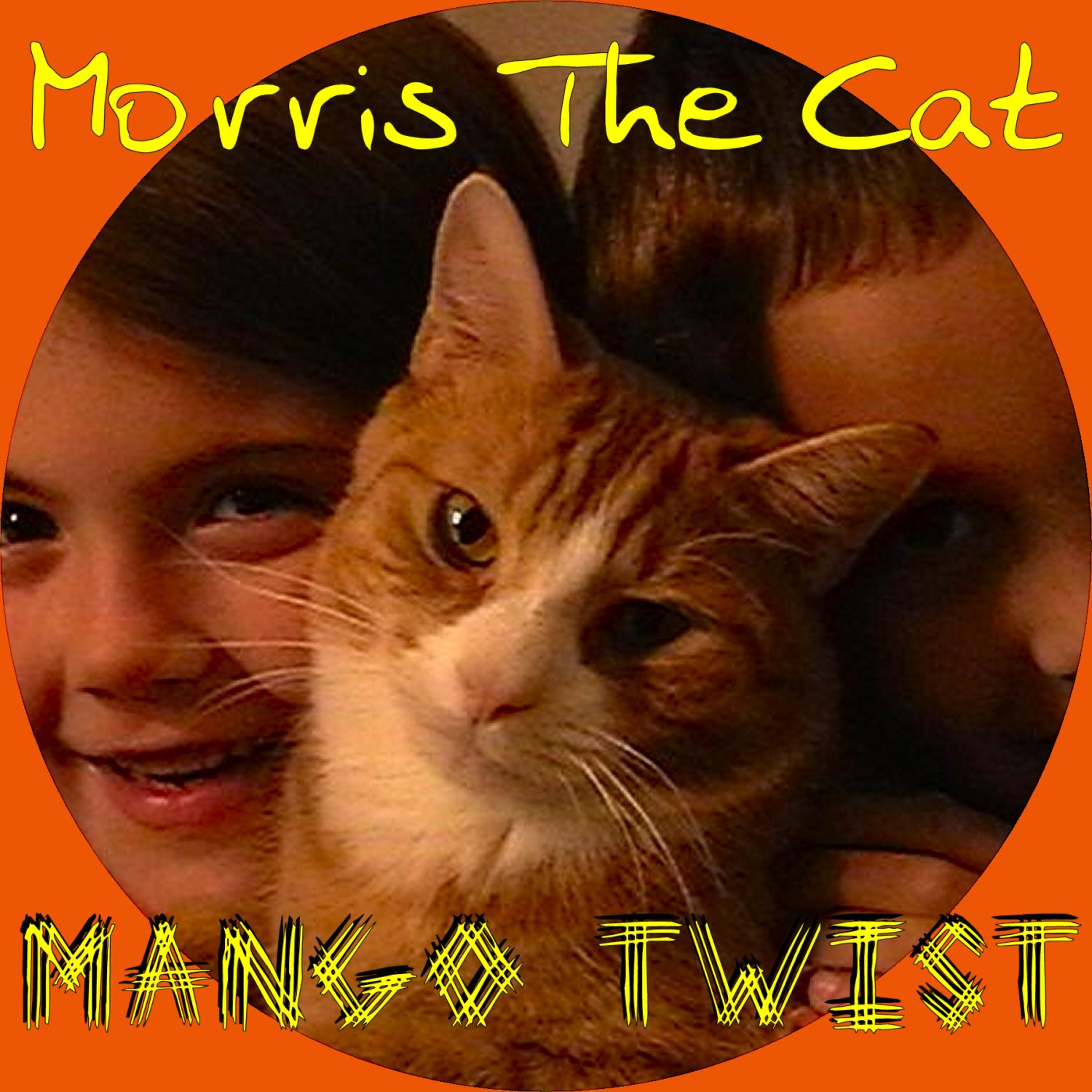 Постер альбома Morris the Cat