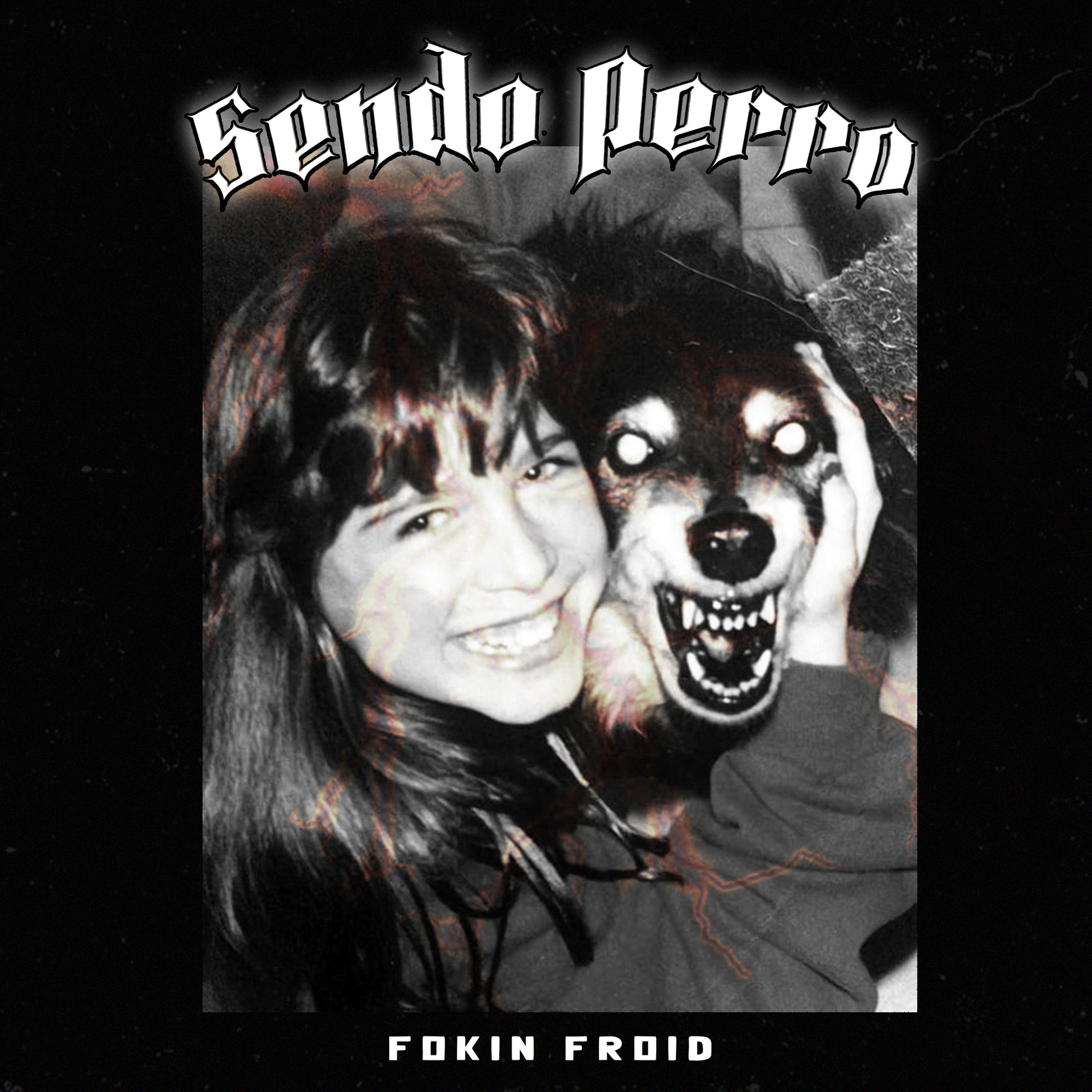 Постер альбома Sendo Perro