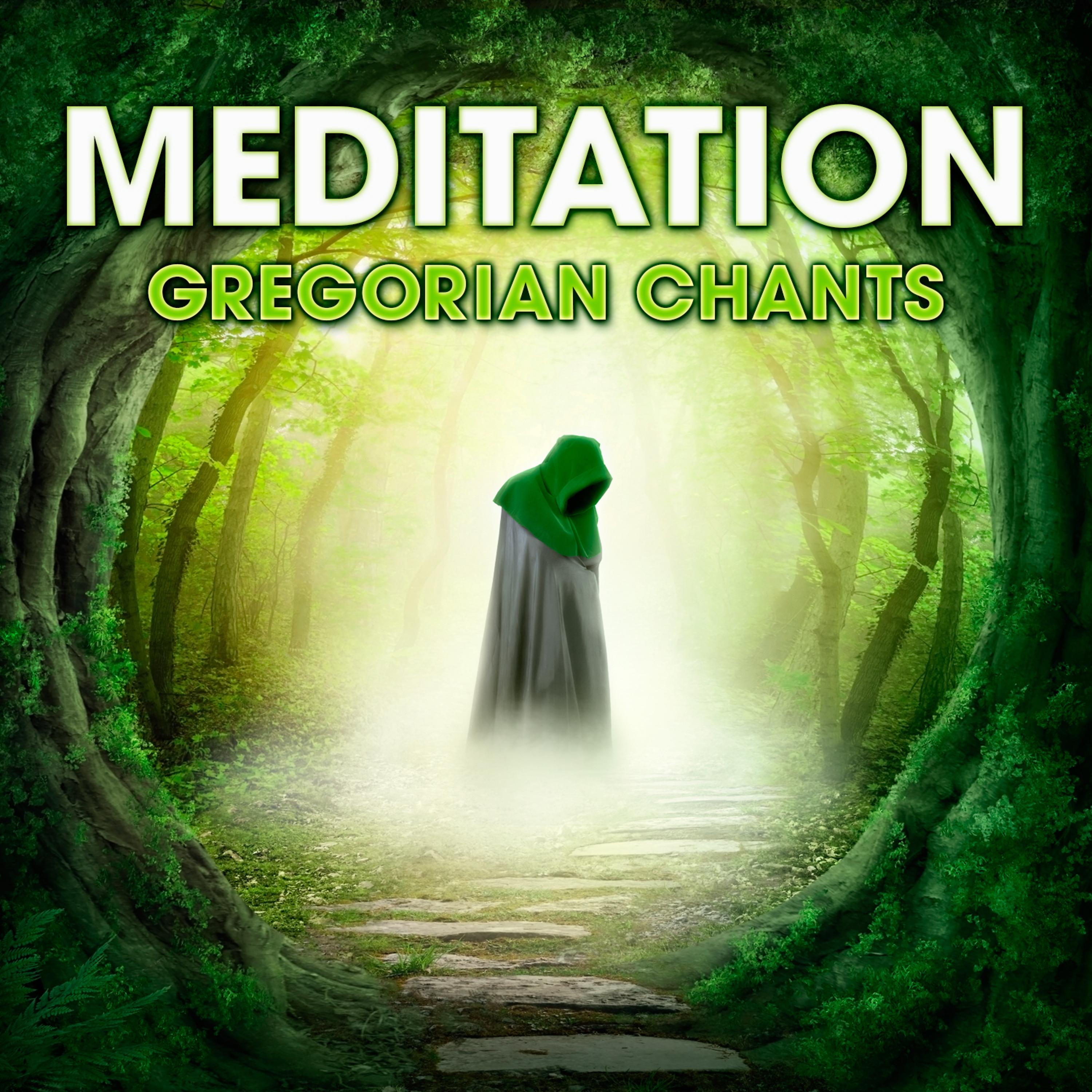 Постер альбома Meditation - Gregorian Chants
