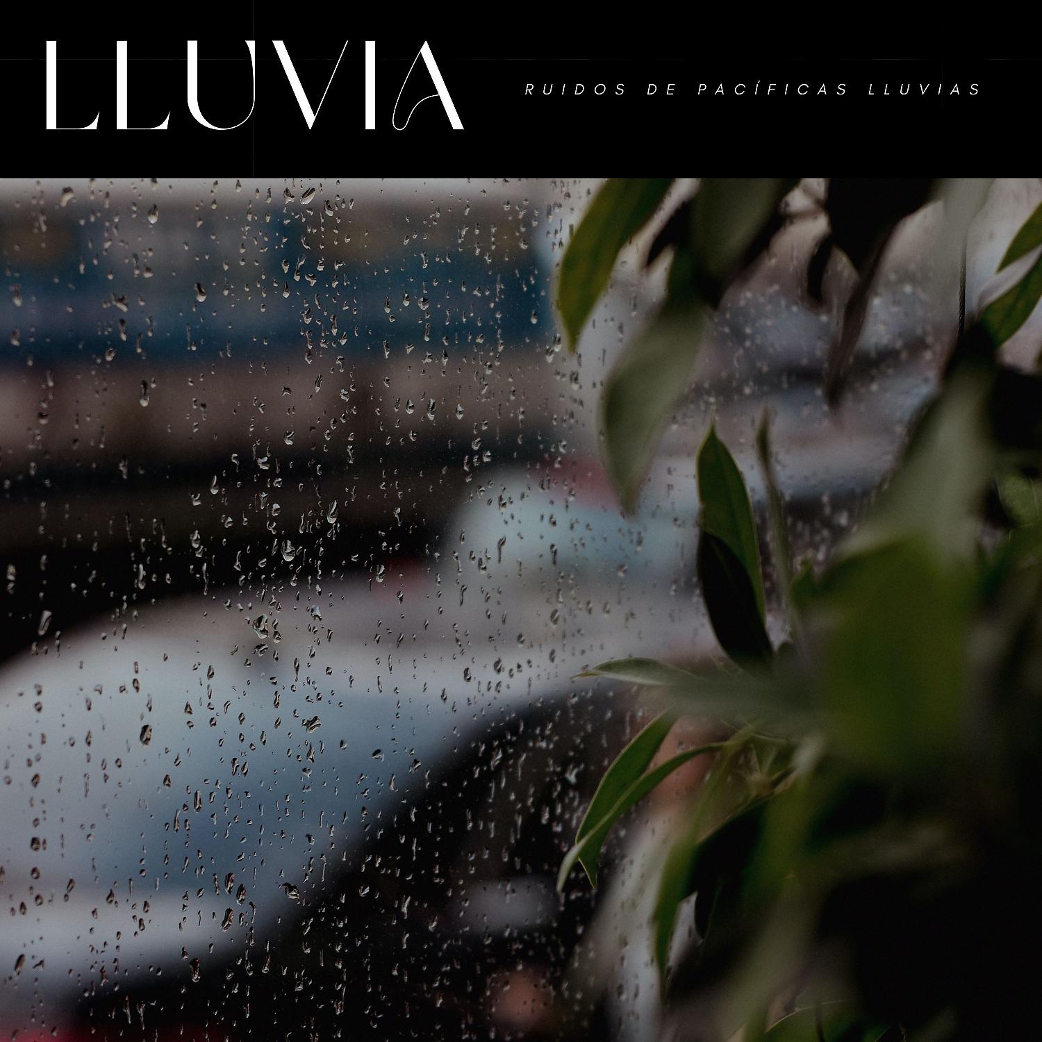 Постер альбома Lluvia: Ruidos De Pacíficas Lluvias
