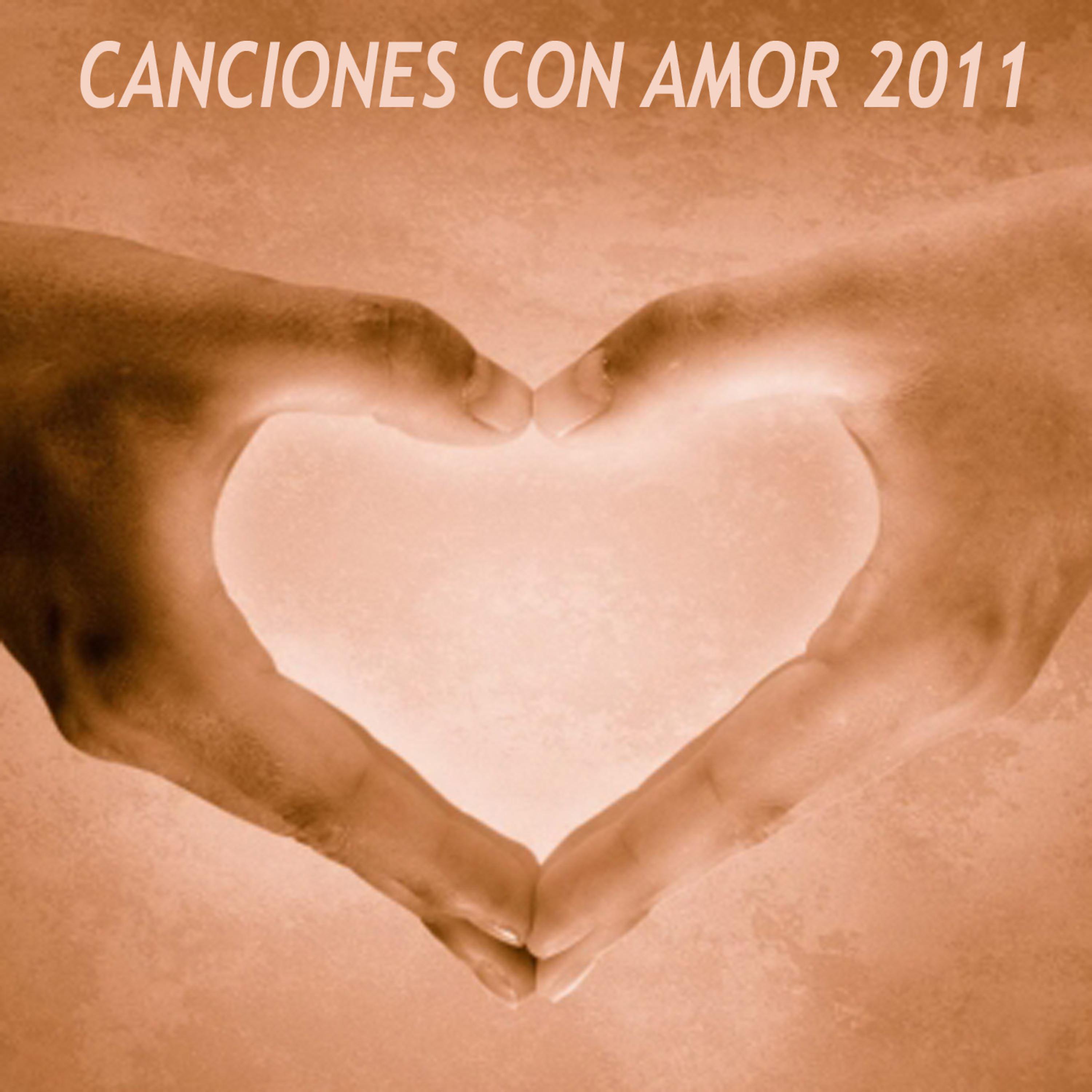 Постер альбома Canciones con amor 2011