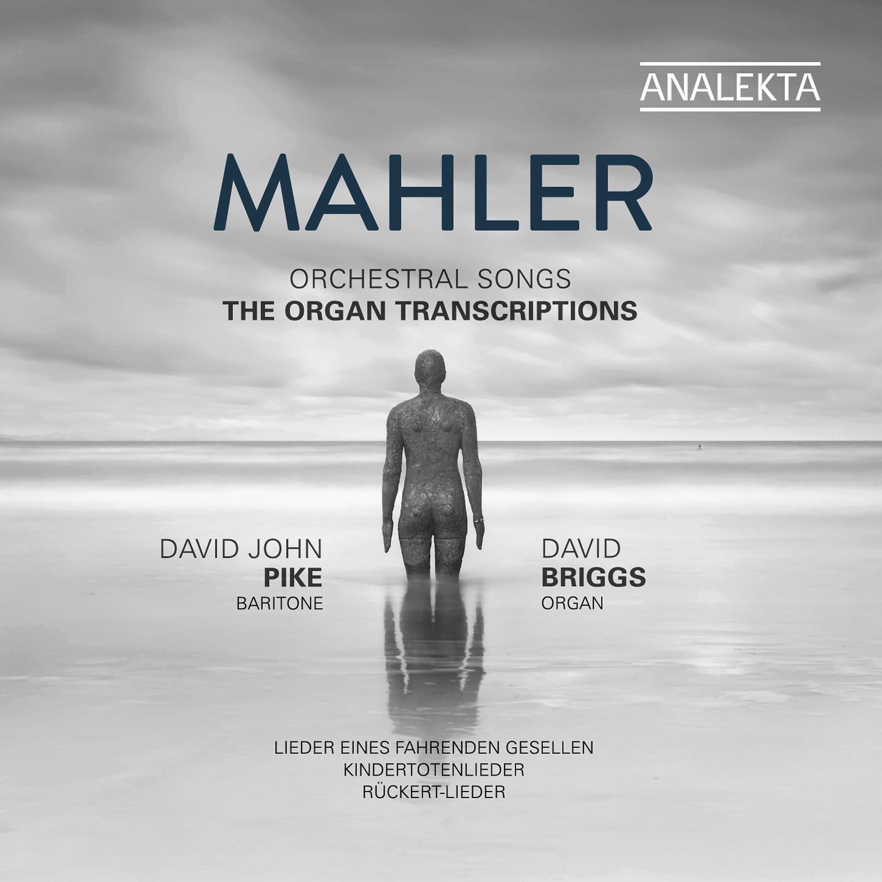 Постер альбома Mahler: Orchestral Songs - The Organ Transcriptions