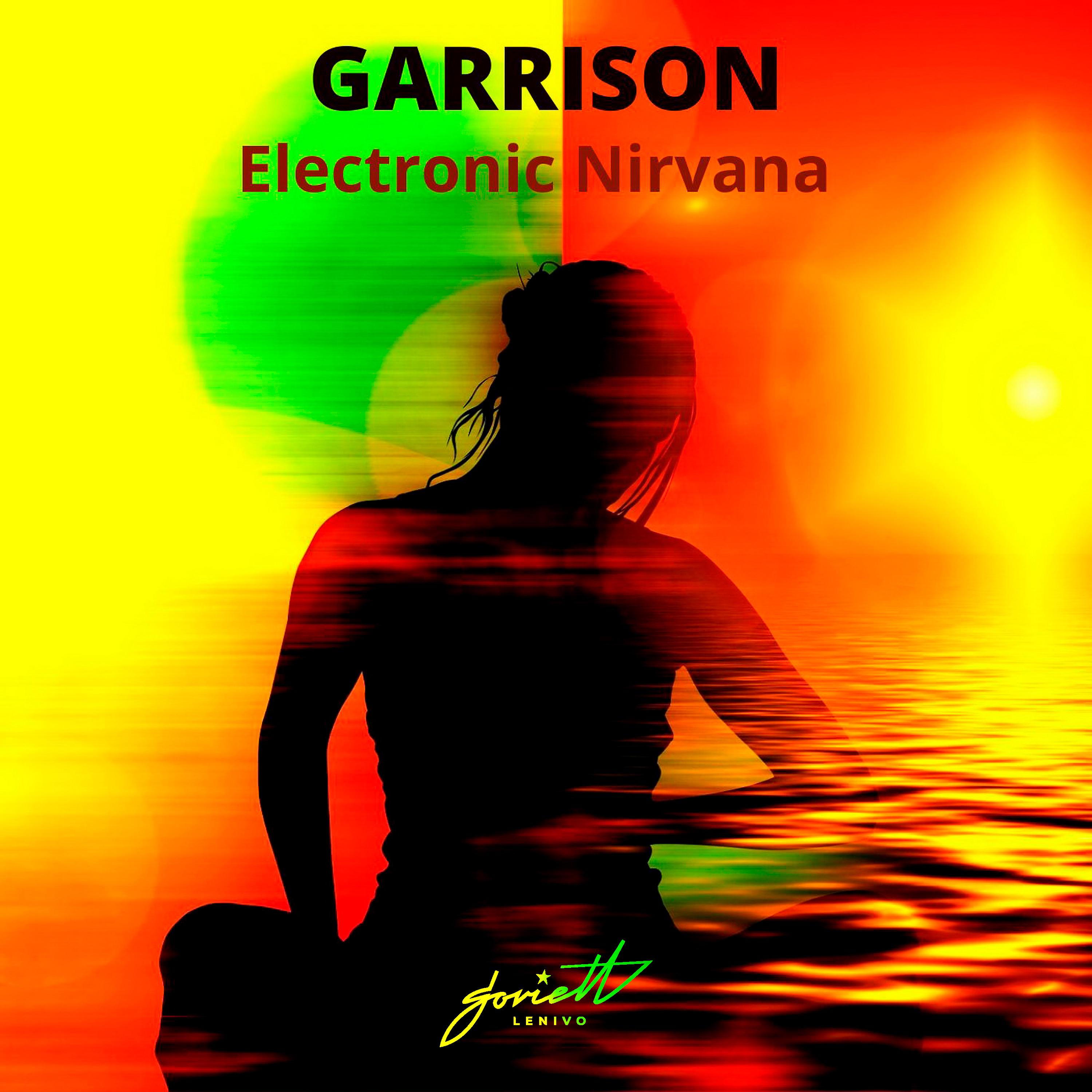 Постер альбома Electronic Nirvana