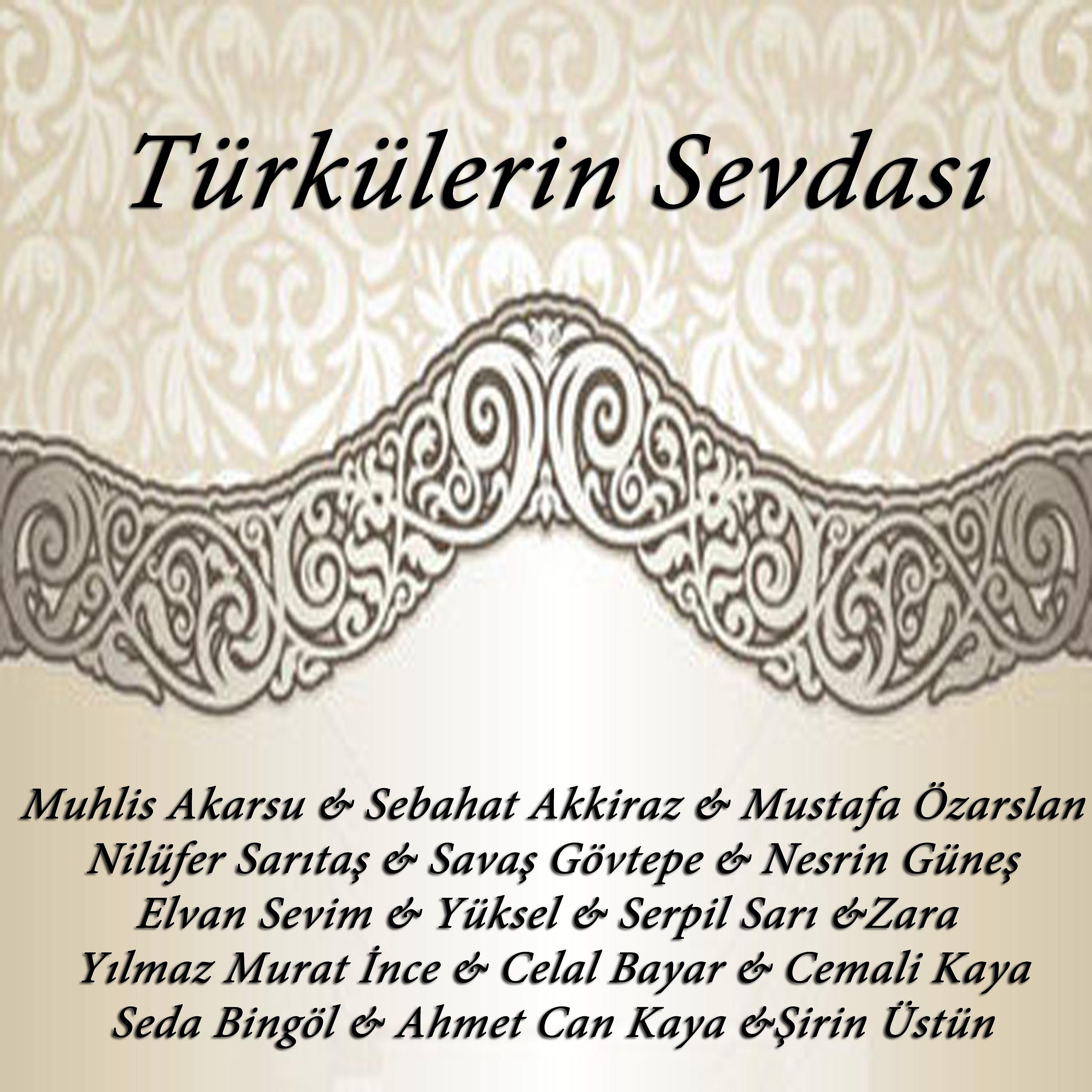 Постер альбома Türkülerin Sevdası