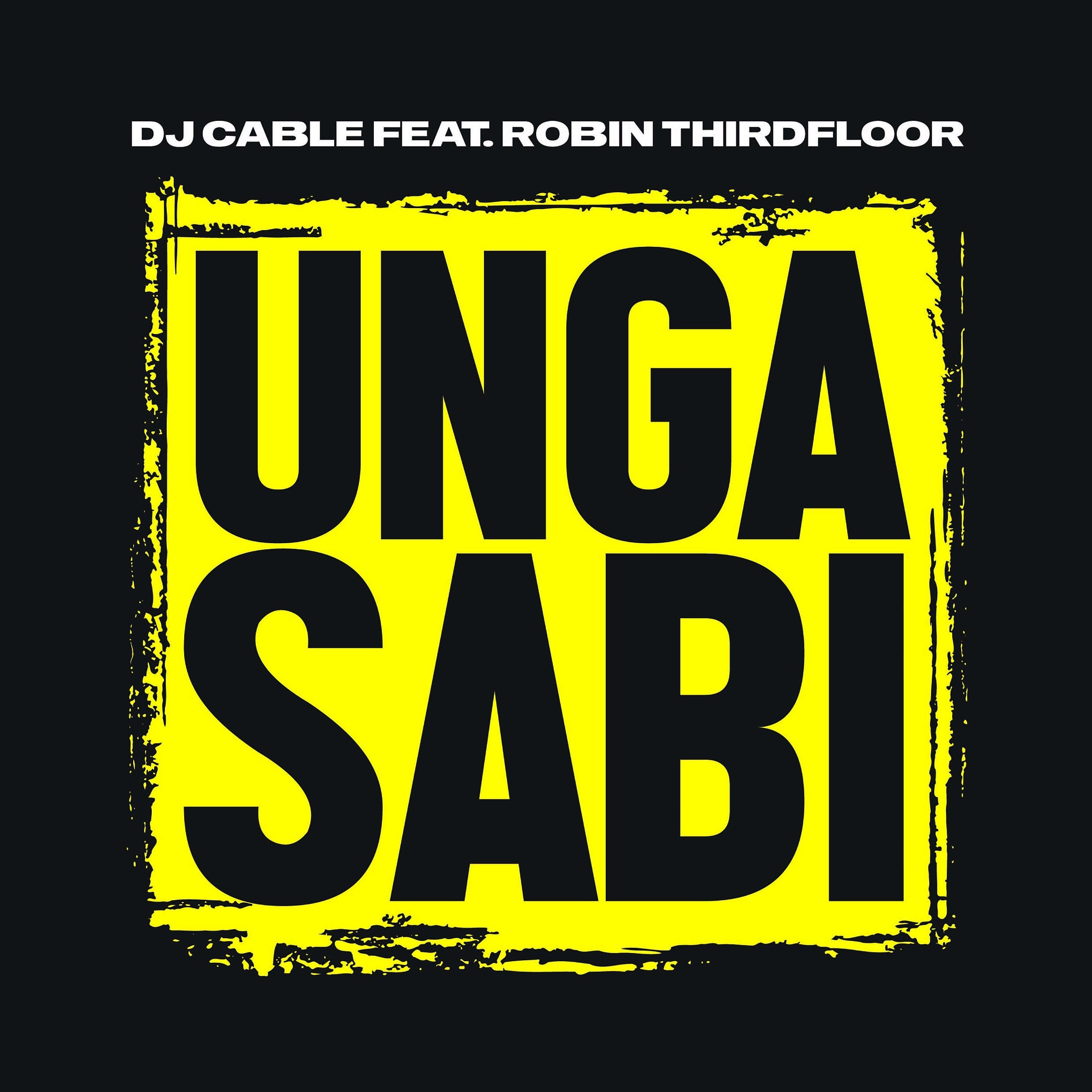 Постер альбома Ungasabi